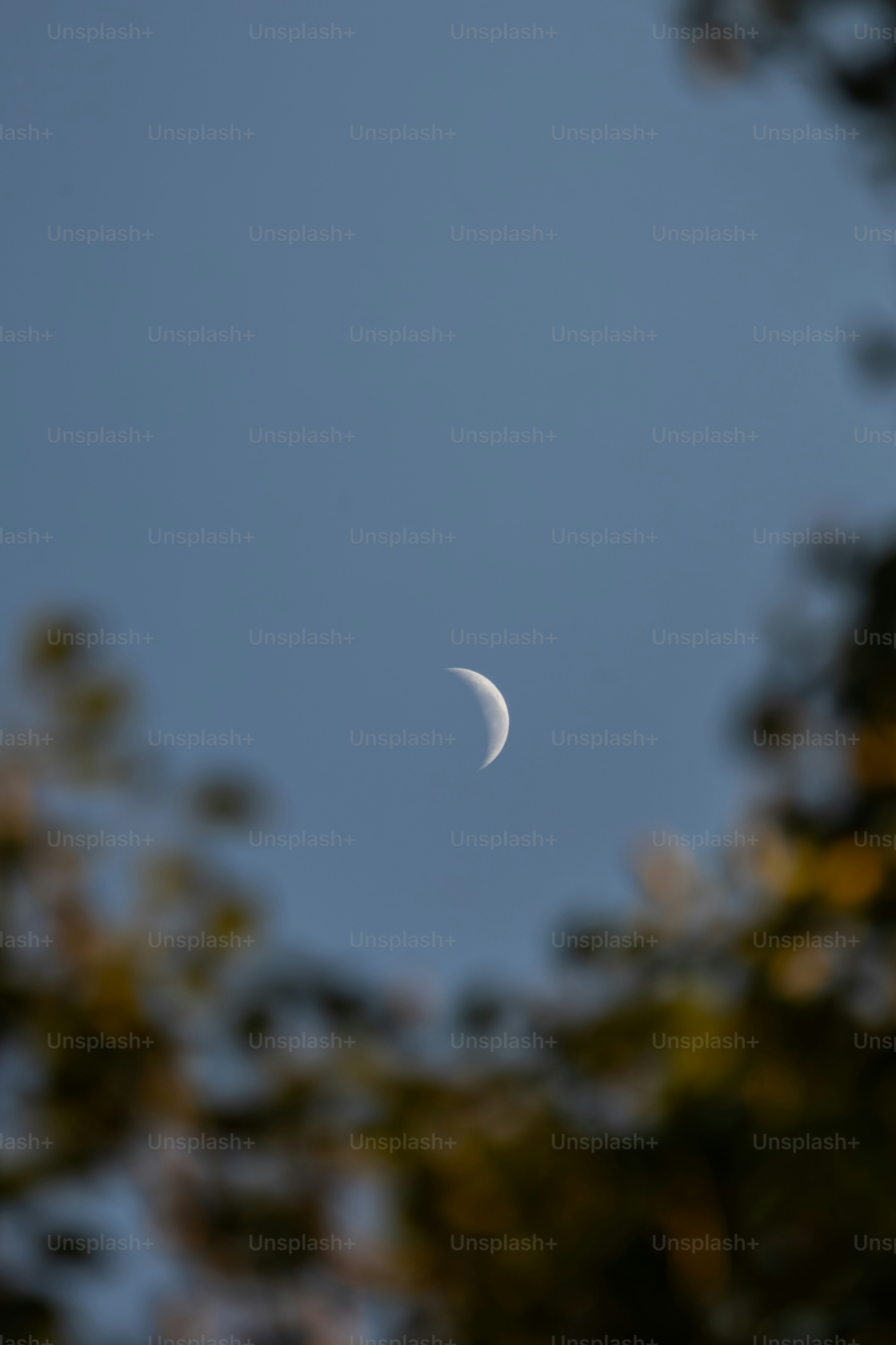 Crescent moon in a clear blue sky.