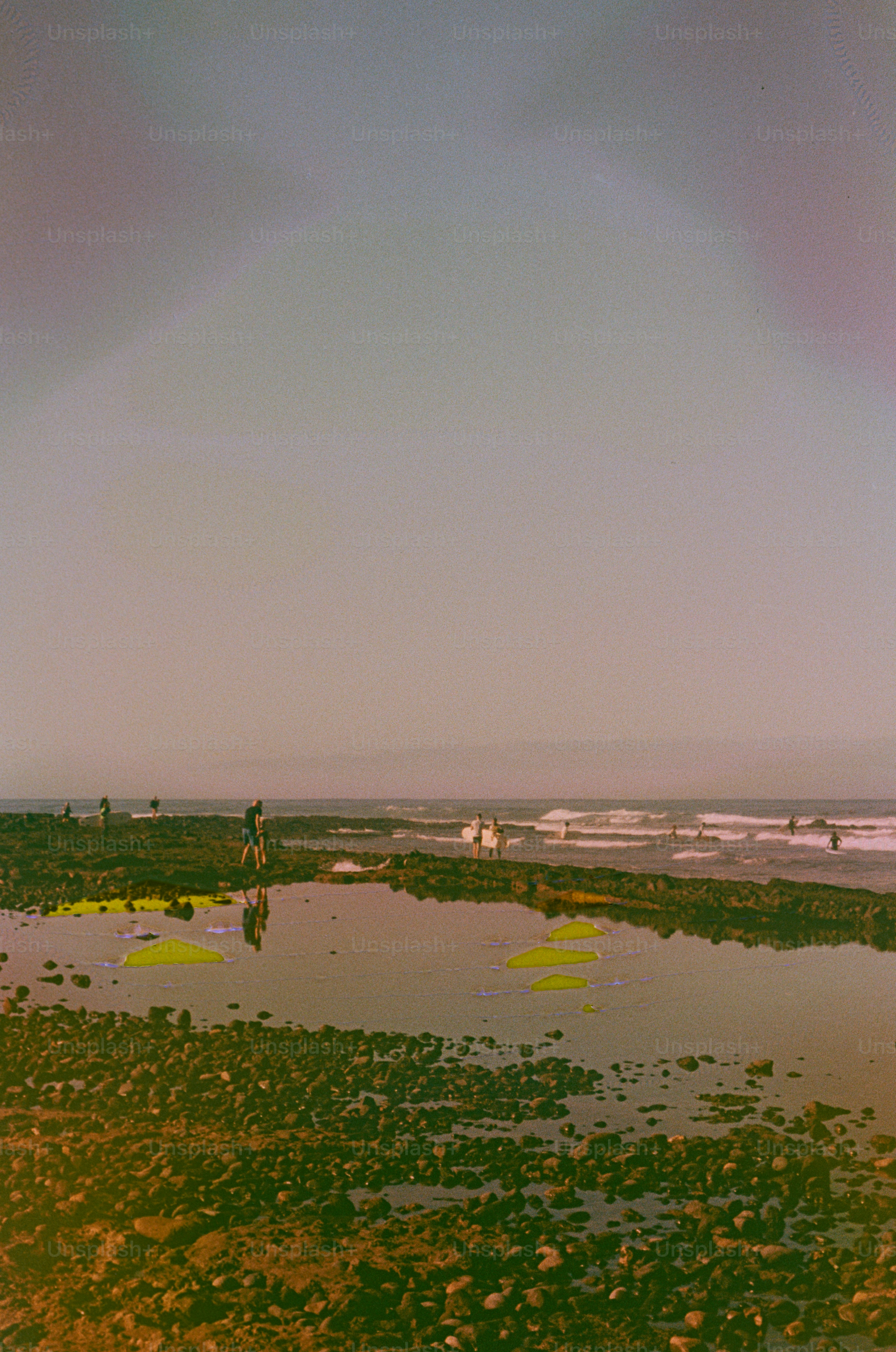People exploring tide pools on a rocky beach