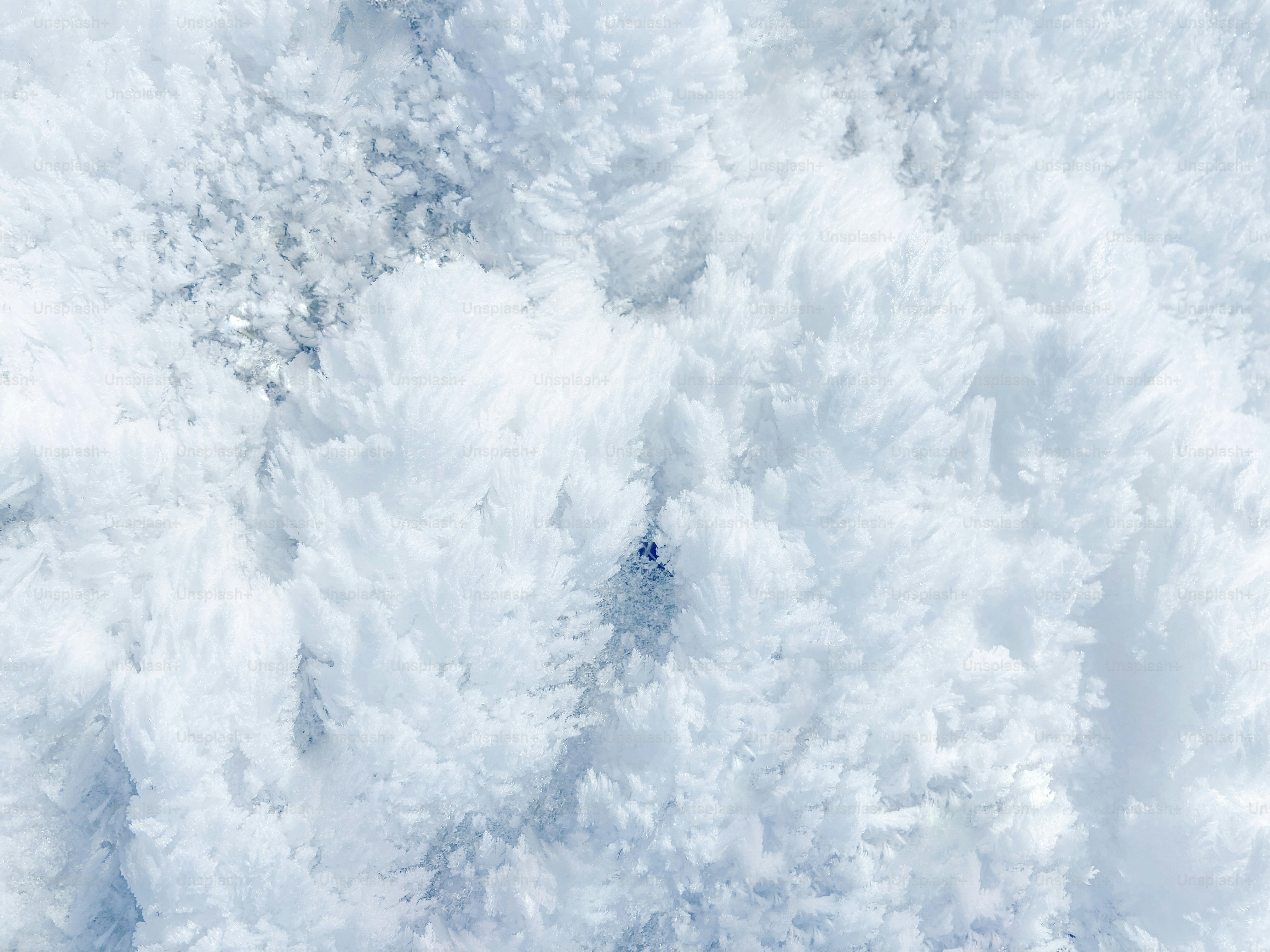 Close-up of intricate ice crystals on a surface