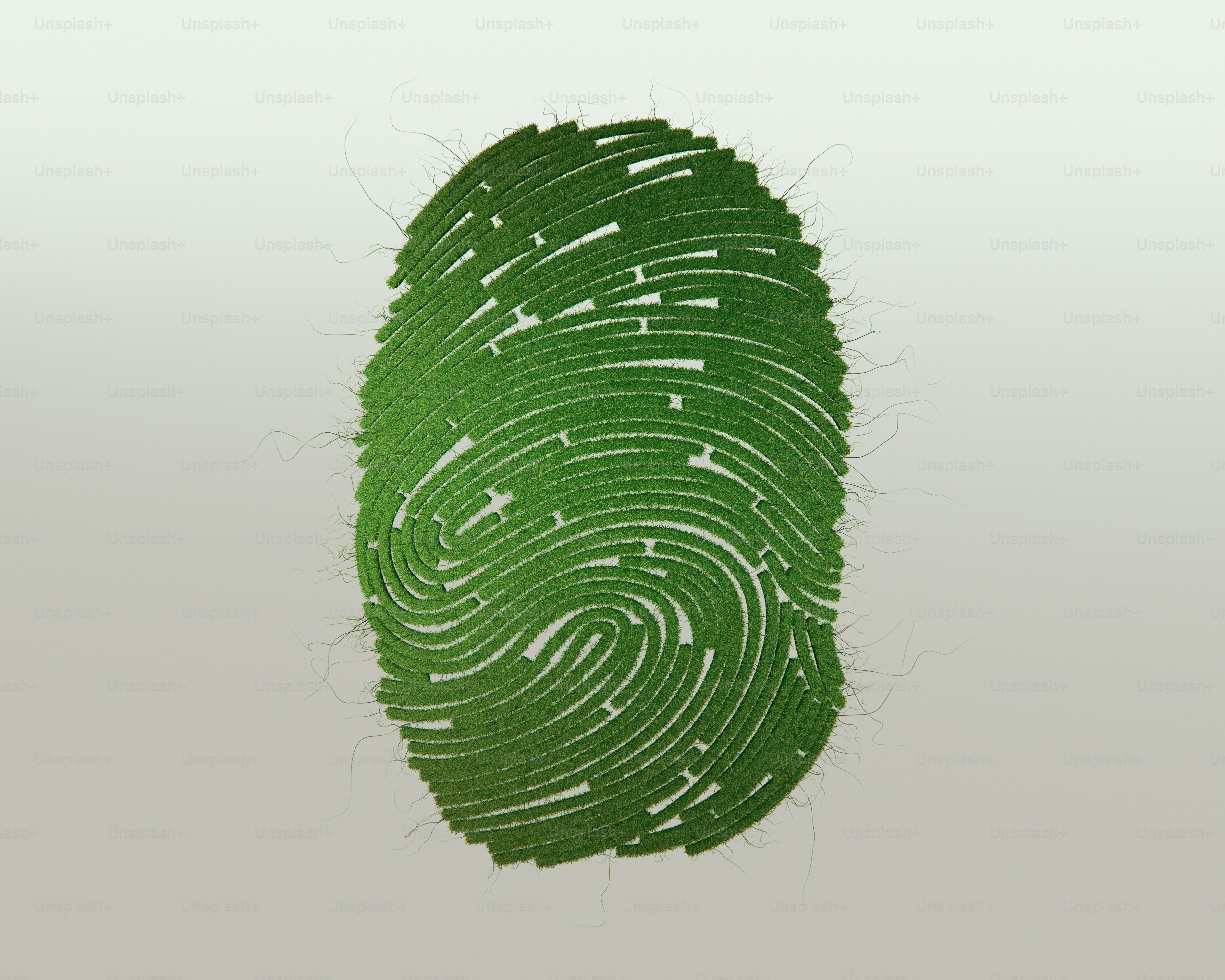Green fingerprint on a white background