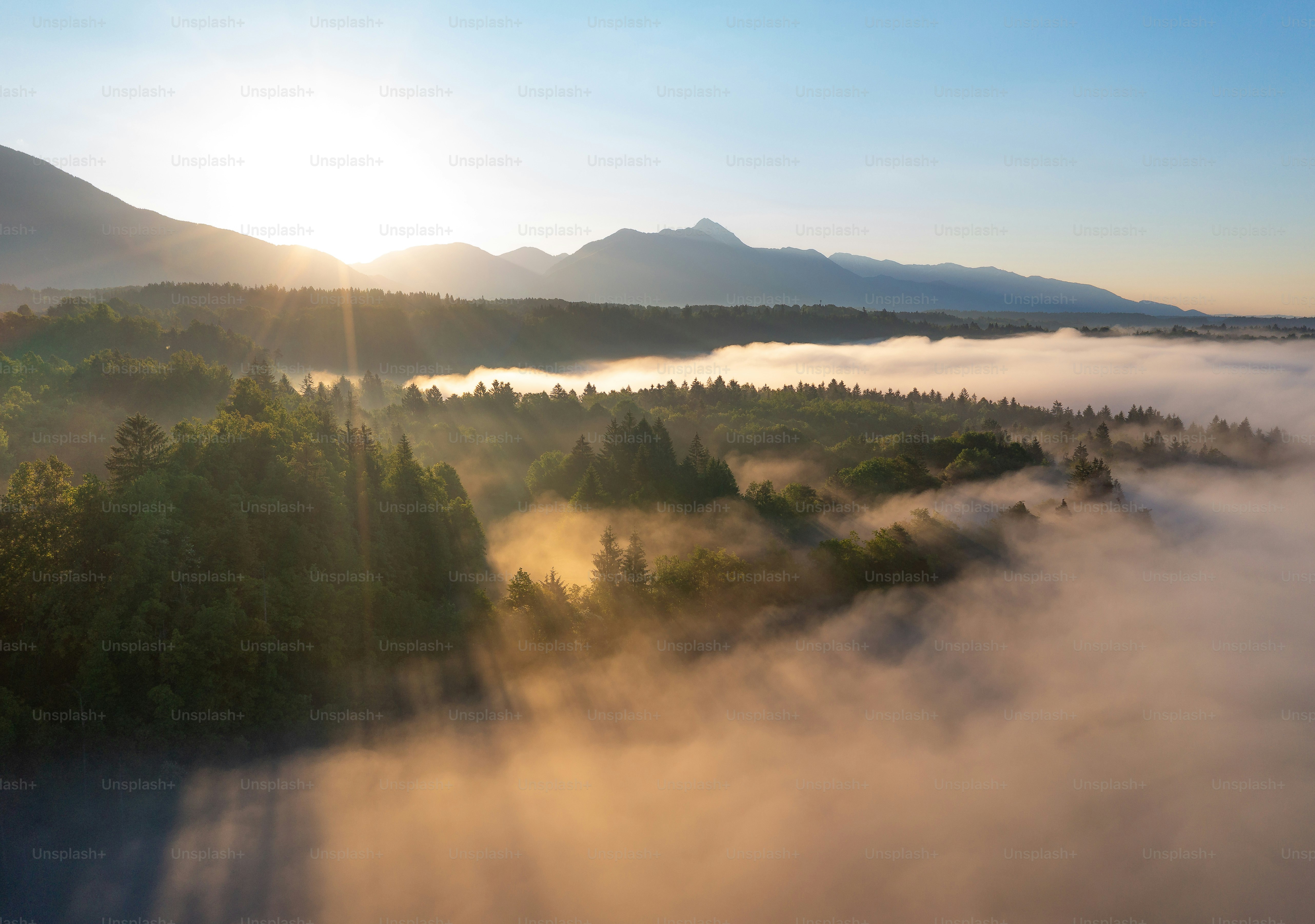 Sonnenaufgang über einem nebligen Wald mit Bergen im Hintergrund