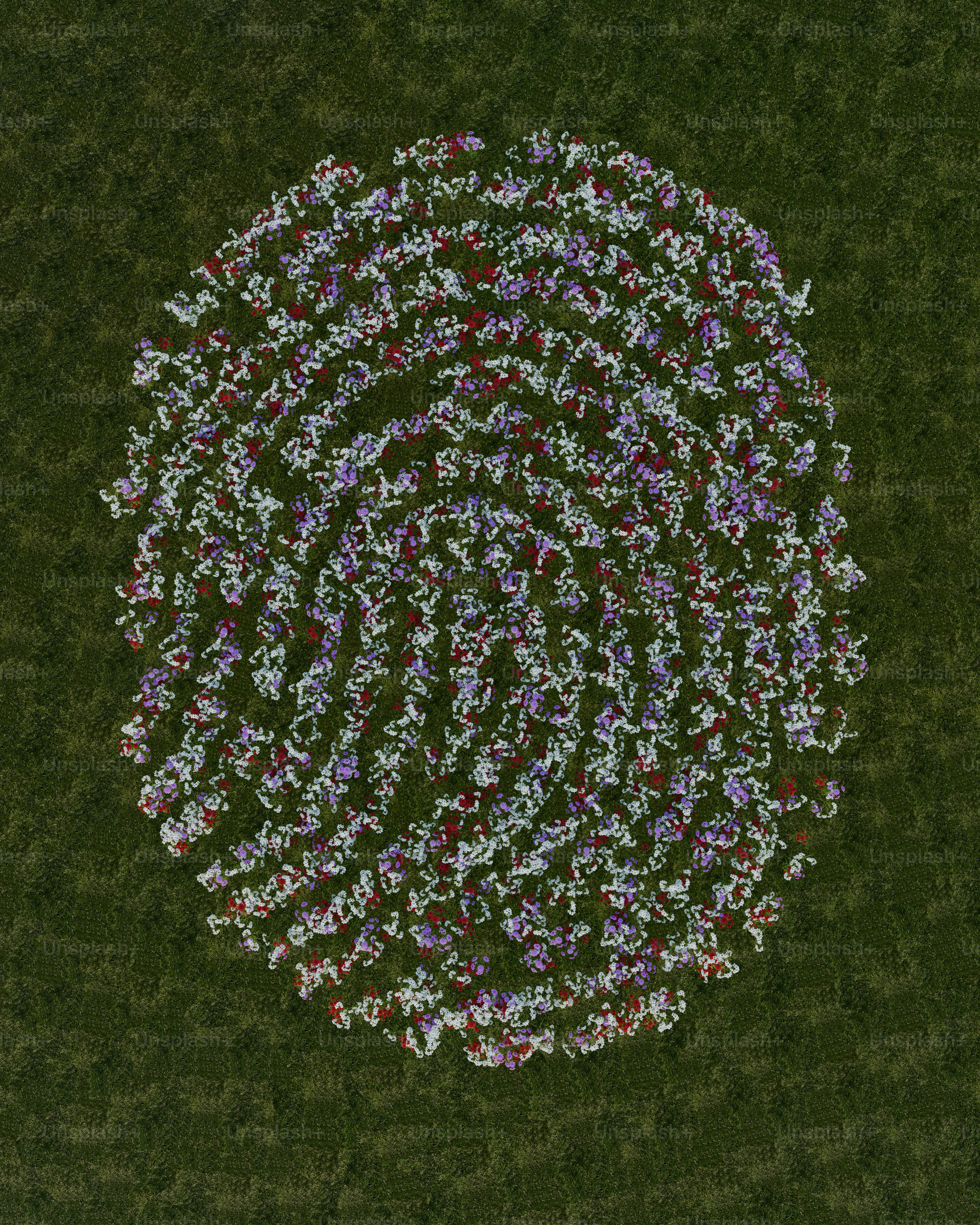 Impressão digital formada por pequenas flores na grama