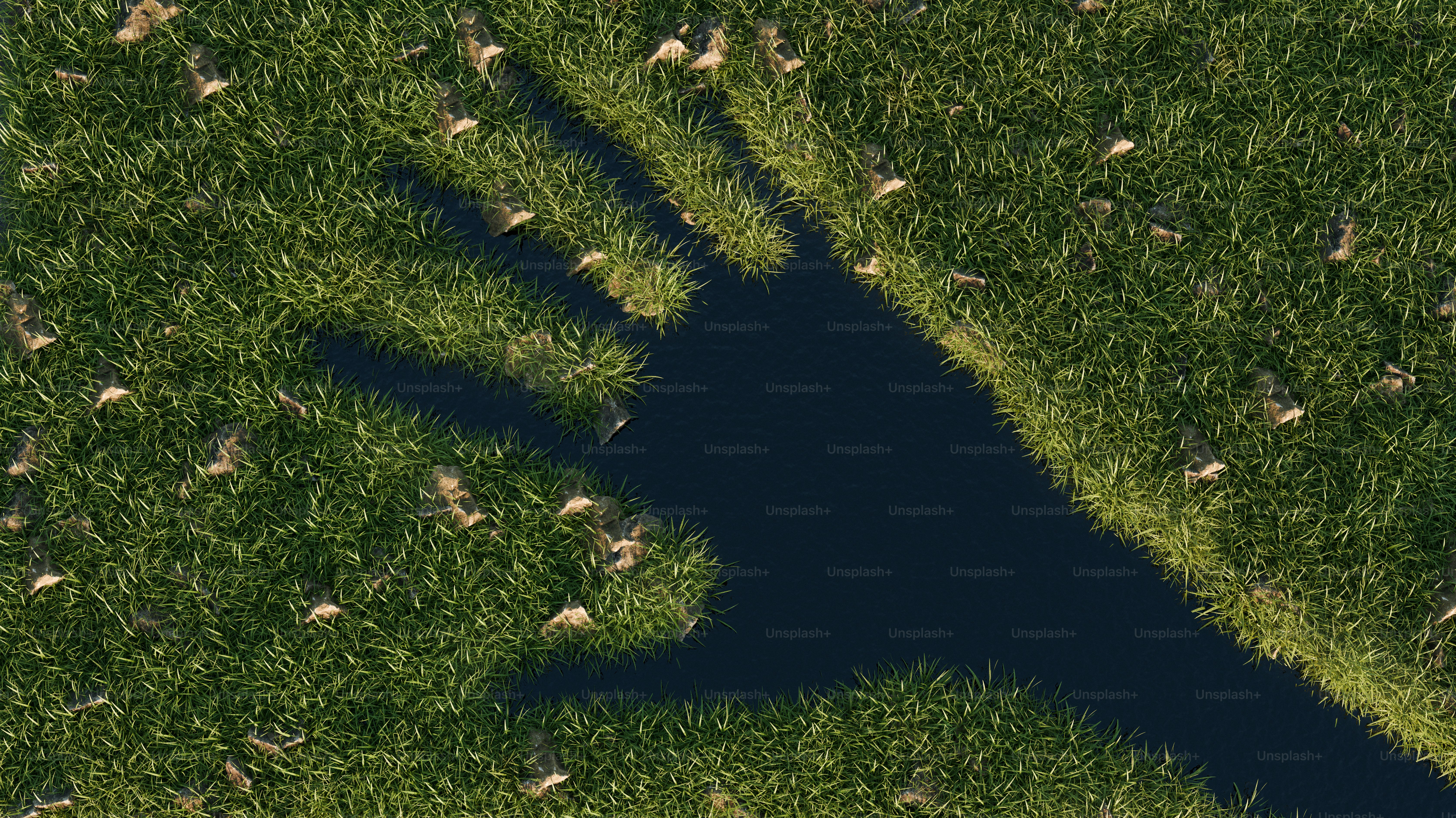 Sombra de uma mão na grama verde