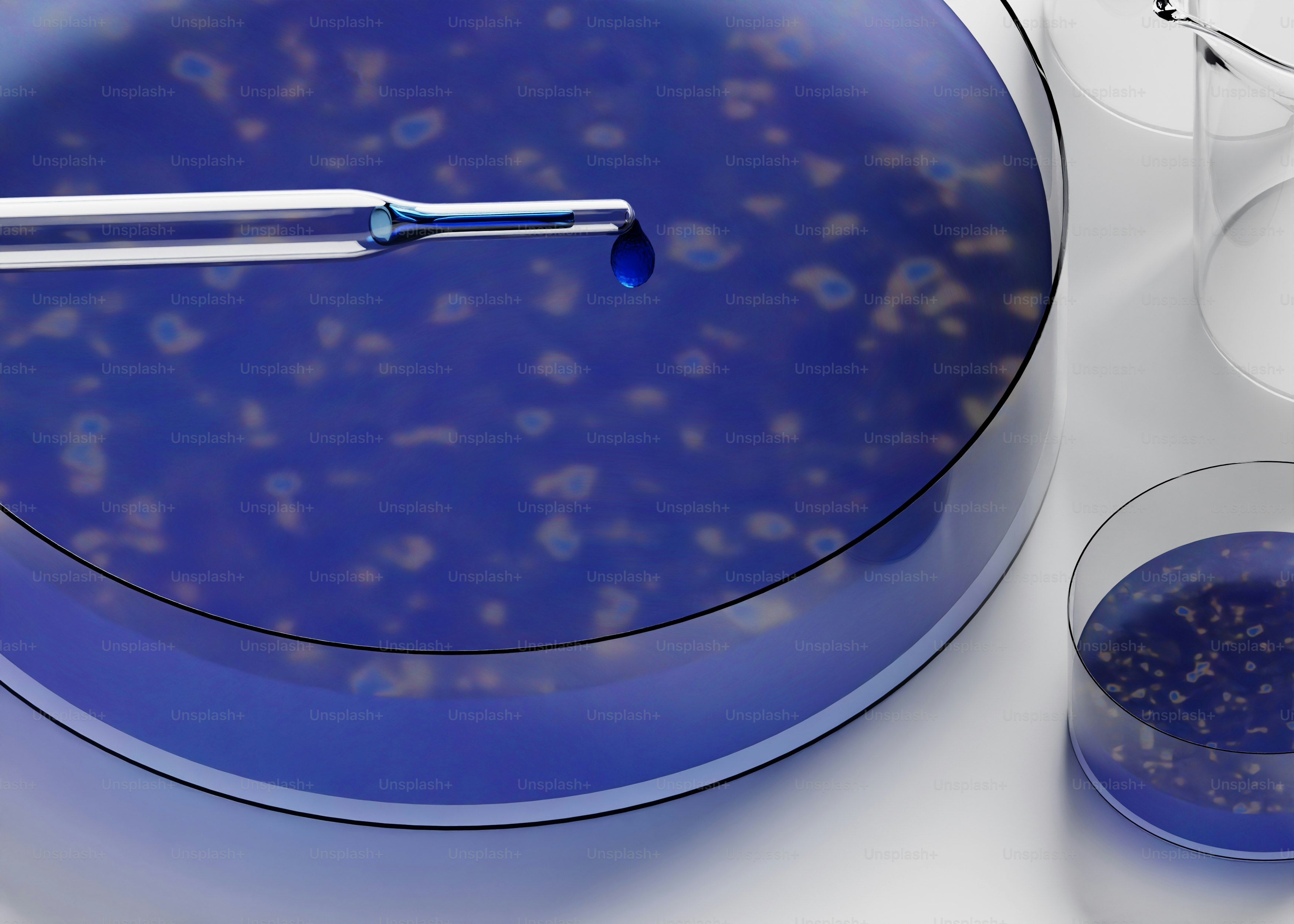 Eine Pipette tropft blaue Flüssigkeit in eine Petrischale.