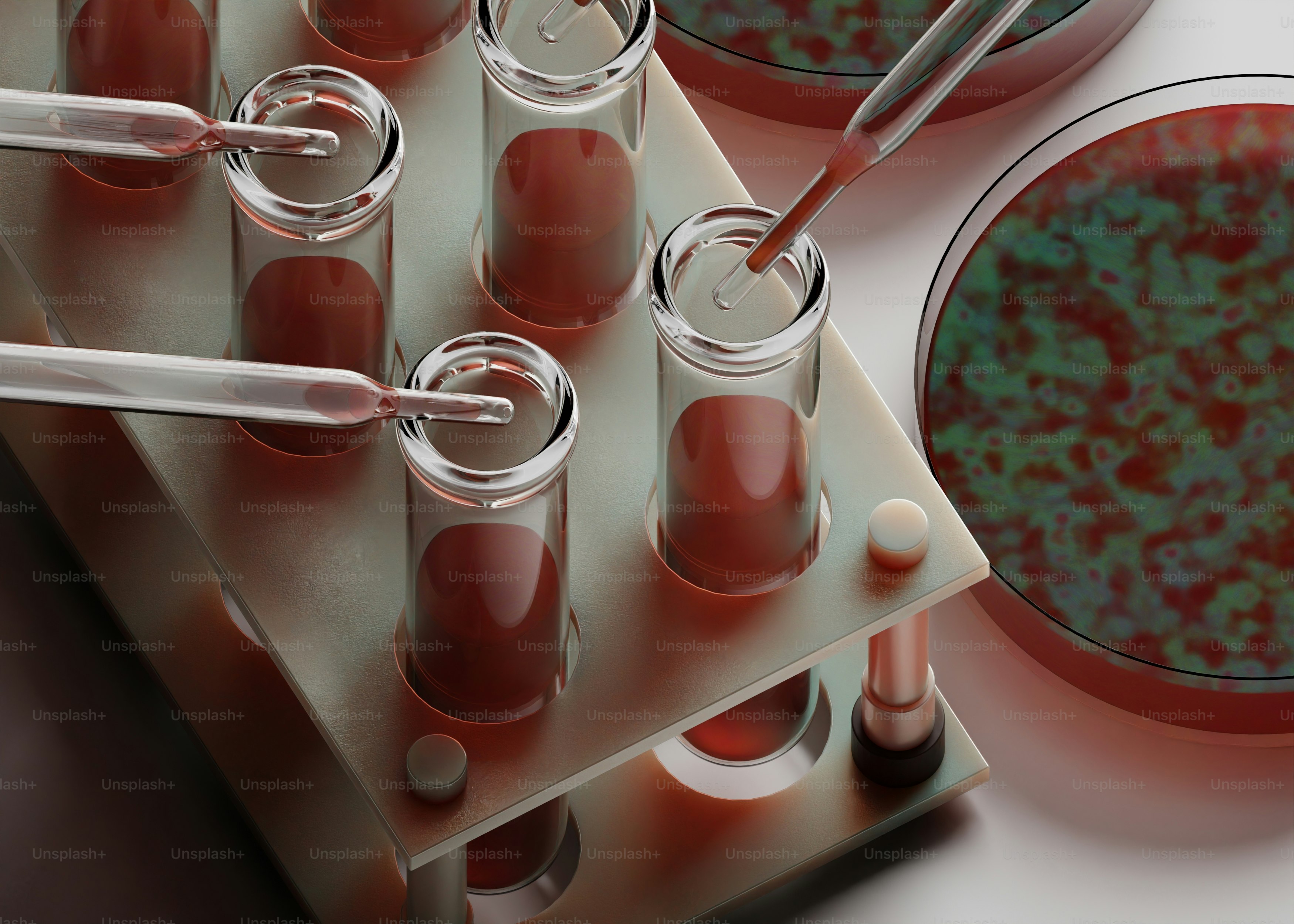 Pipetten, die Flüssigkeit in Reagenzgläser und Petrischale geben.