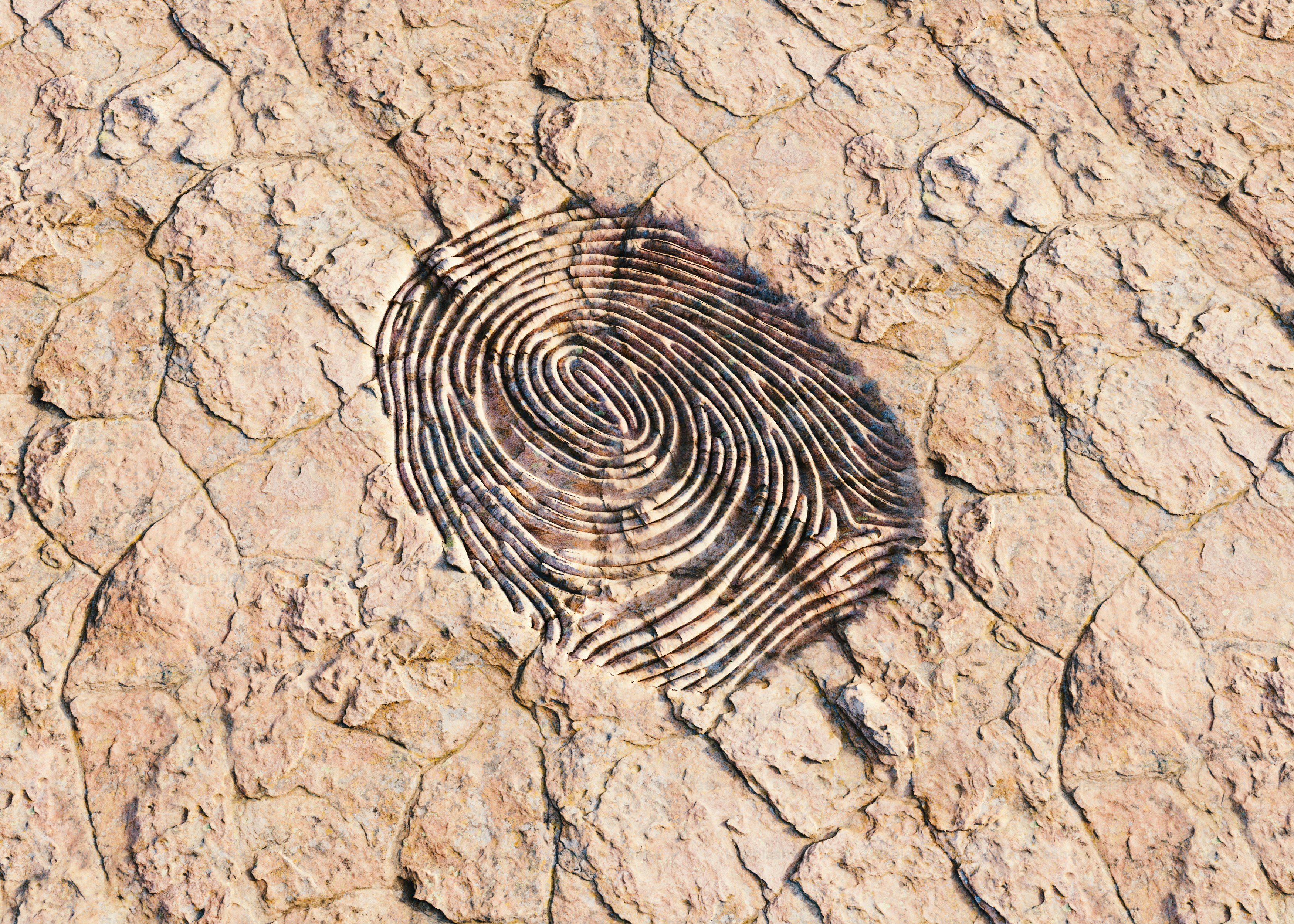 Huella dactilar en tierra seca agrietada