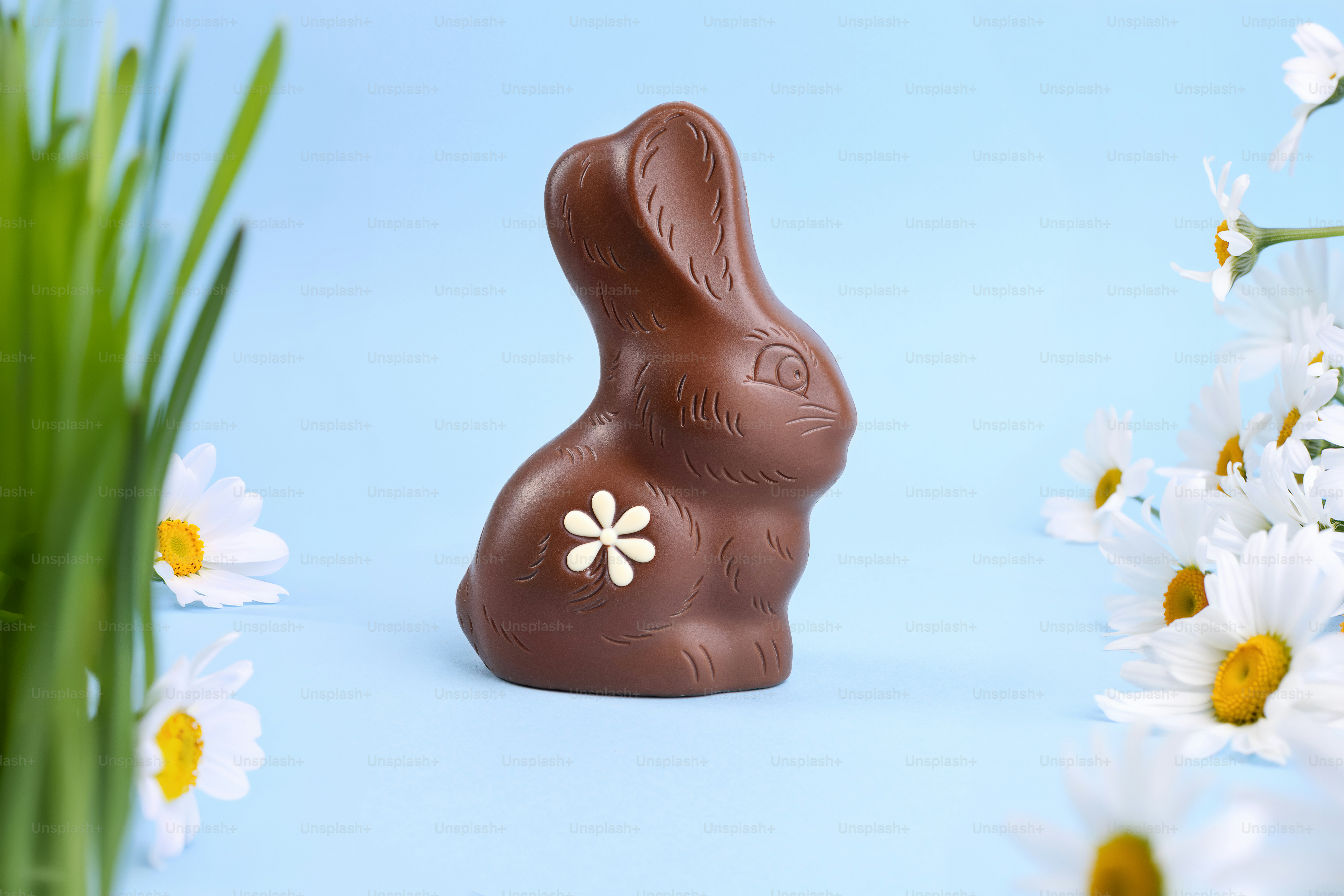A solid milk chocolate bunny on a cream background photo – Food Image ...