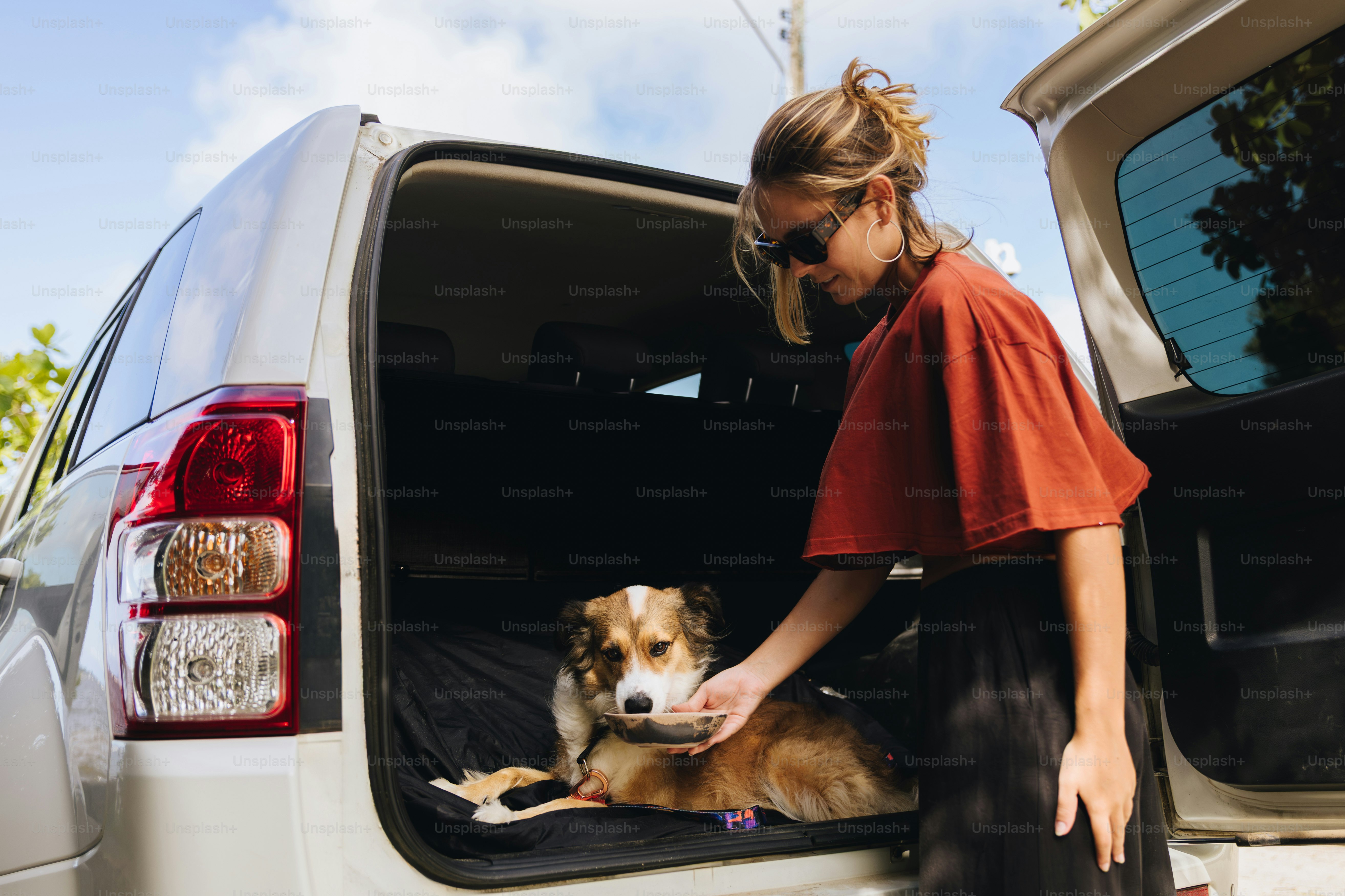 Woman petting dog in the back of an open car