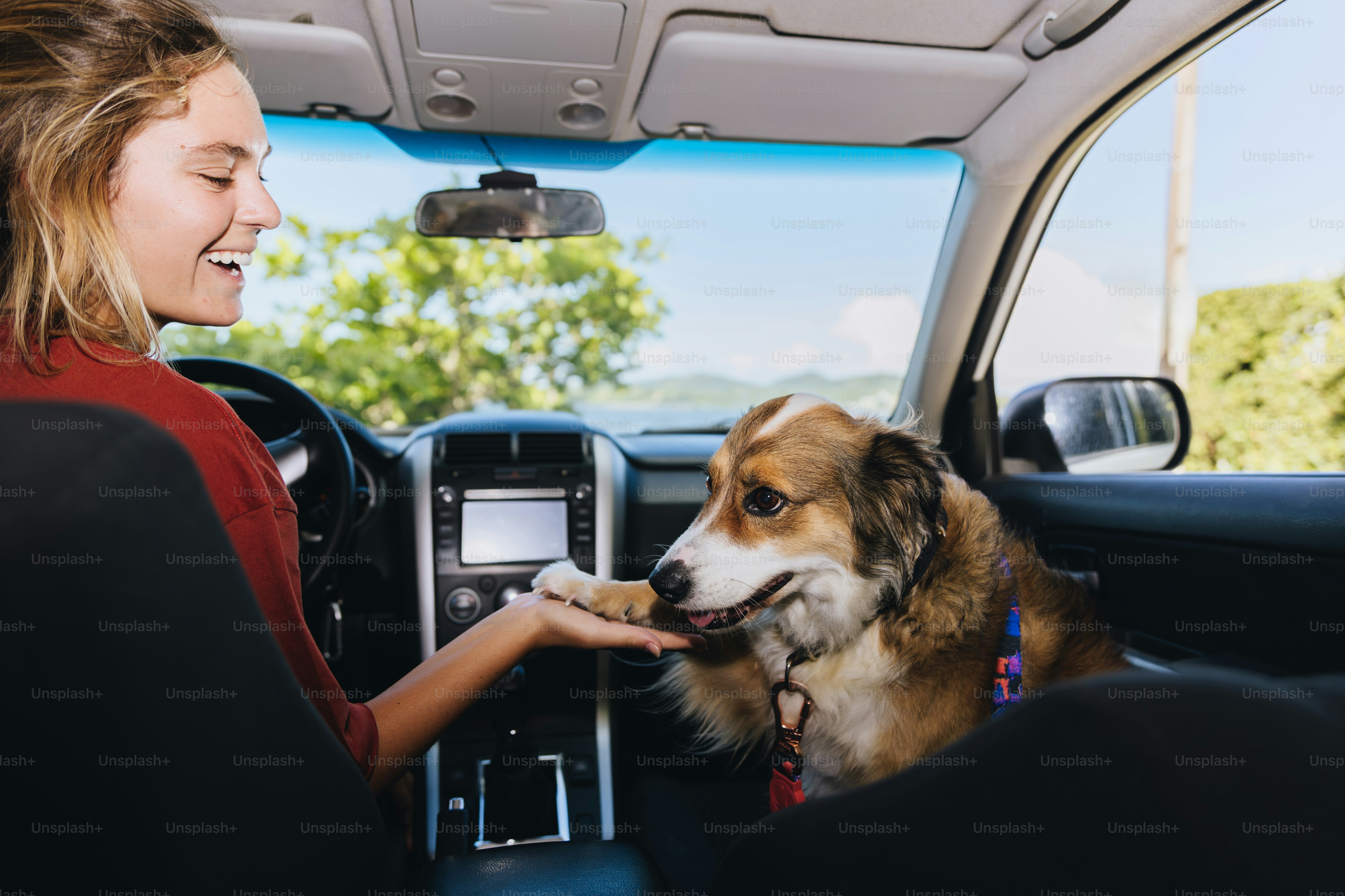 Woman and dog in car giving high five