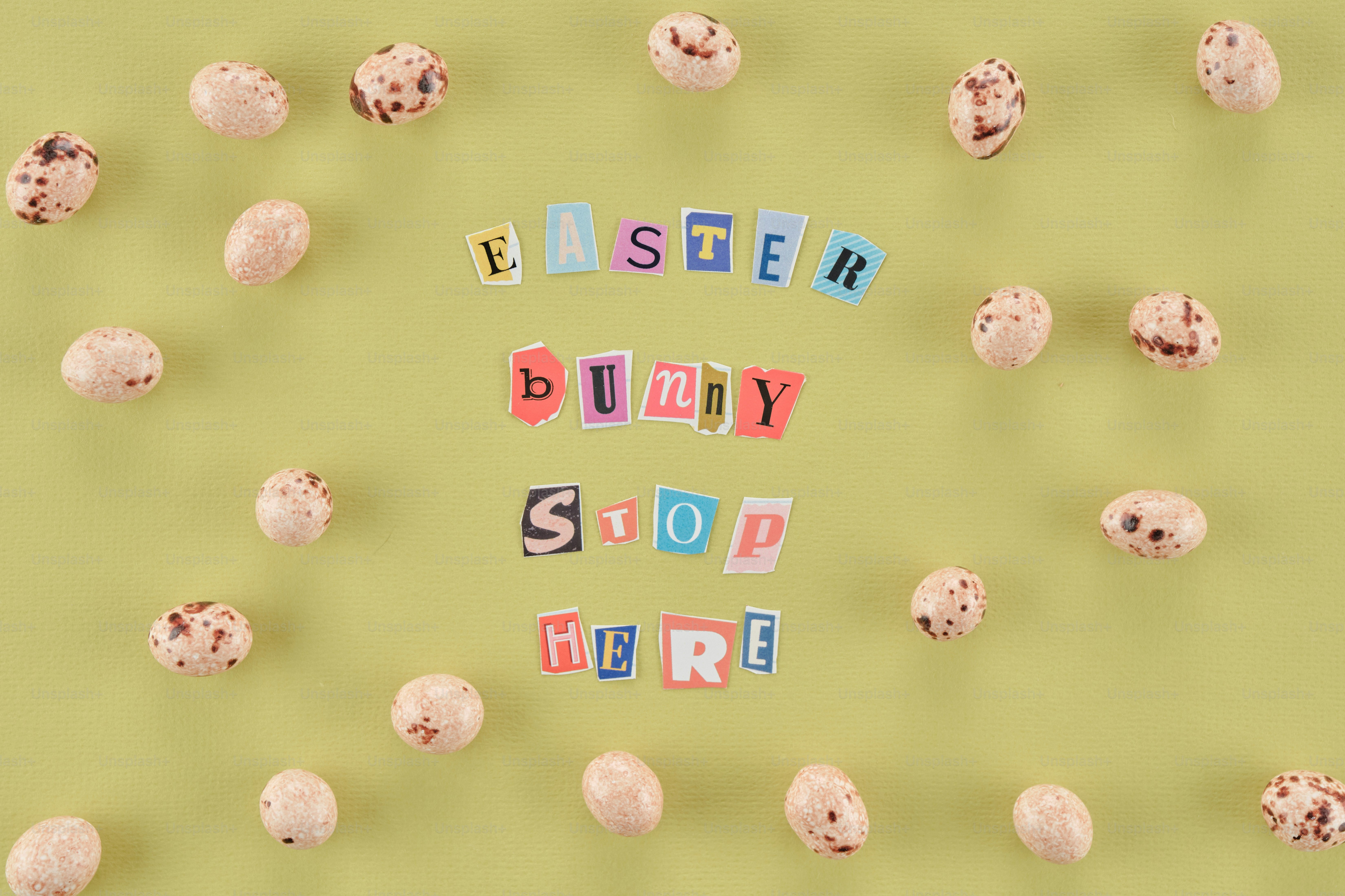 Easter bunny stop here with scattered candy