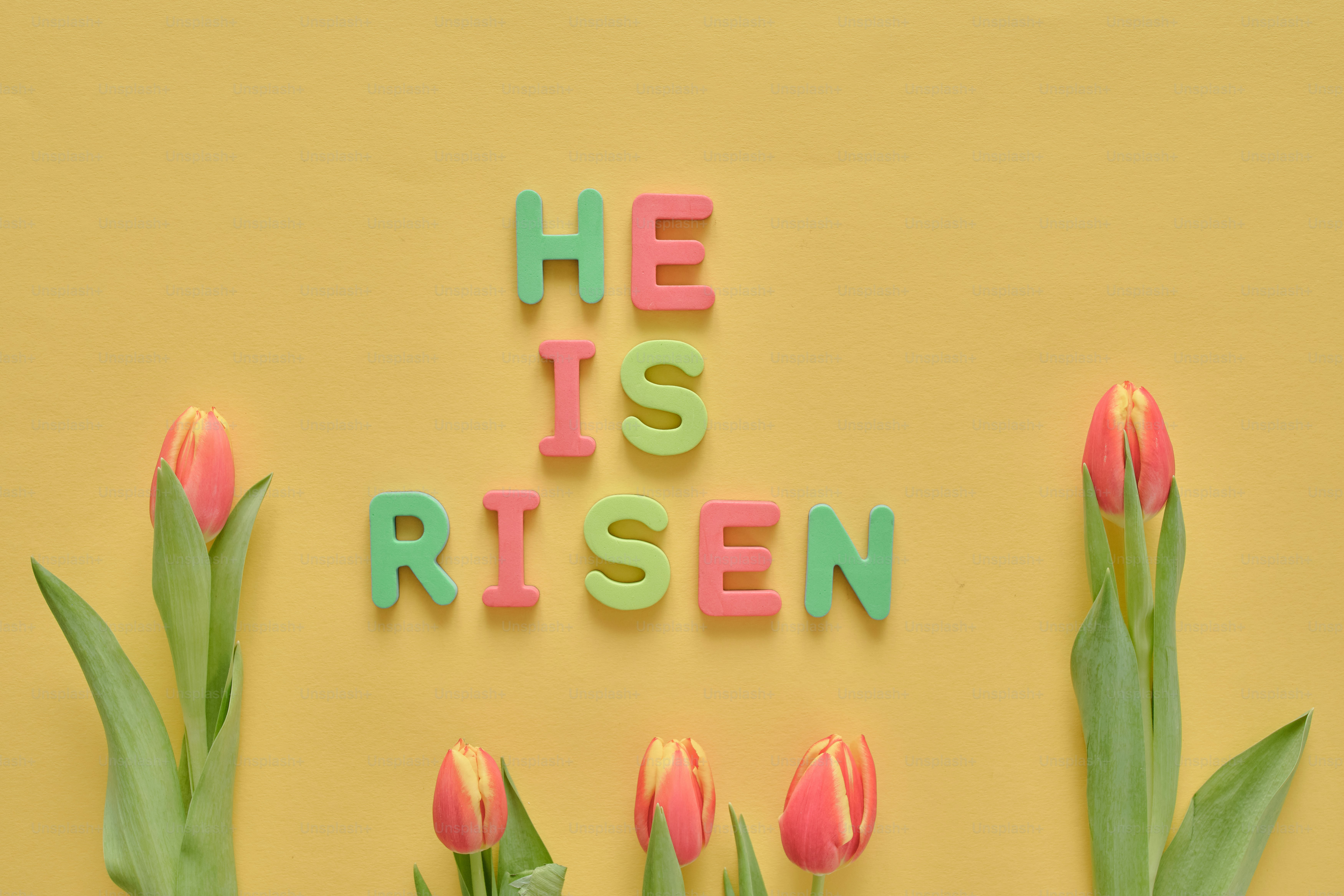 He is risen with tulips on yellow background