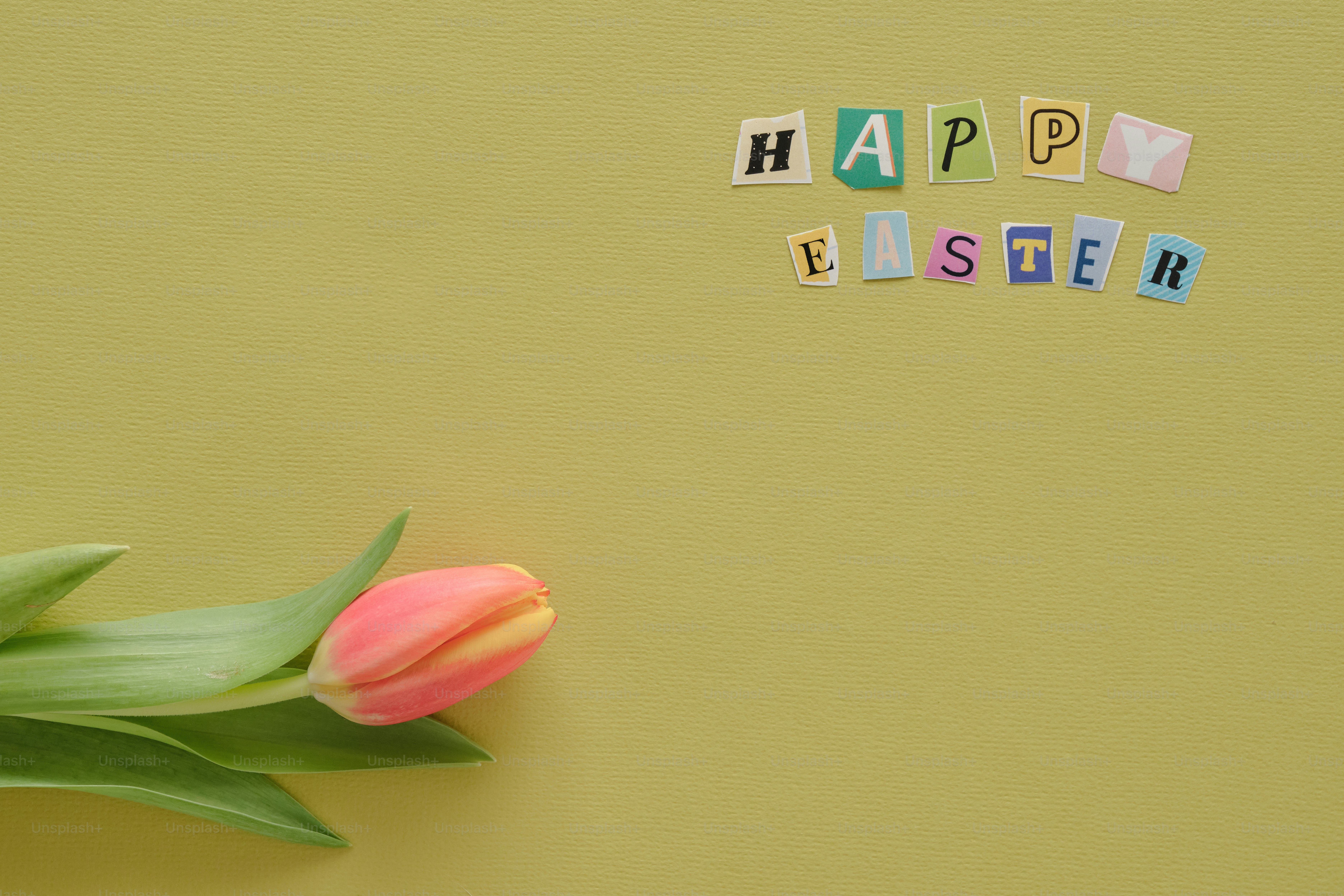 Selamat paskah teks dengan tulip merah muda.