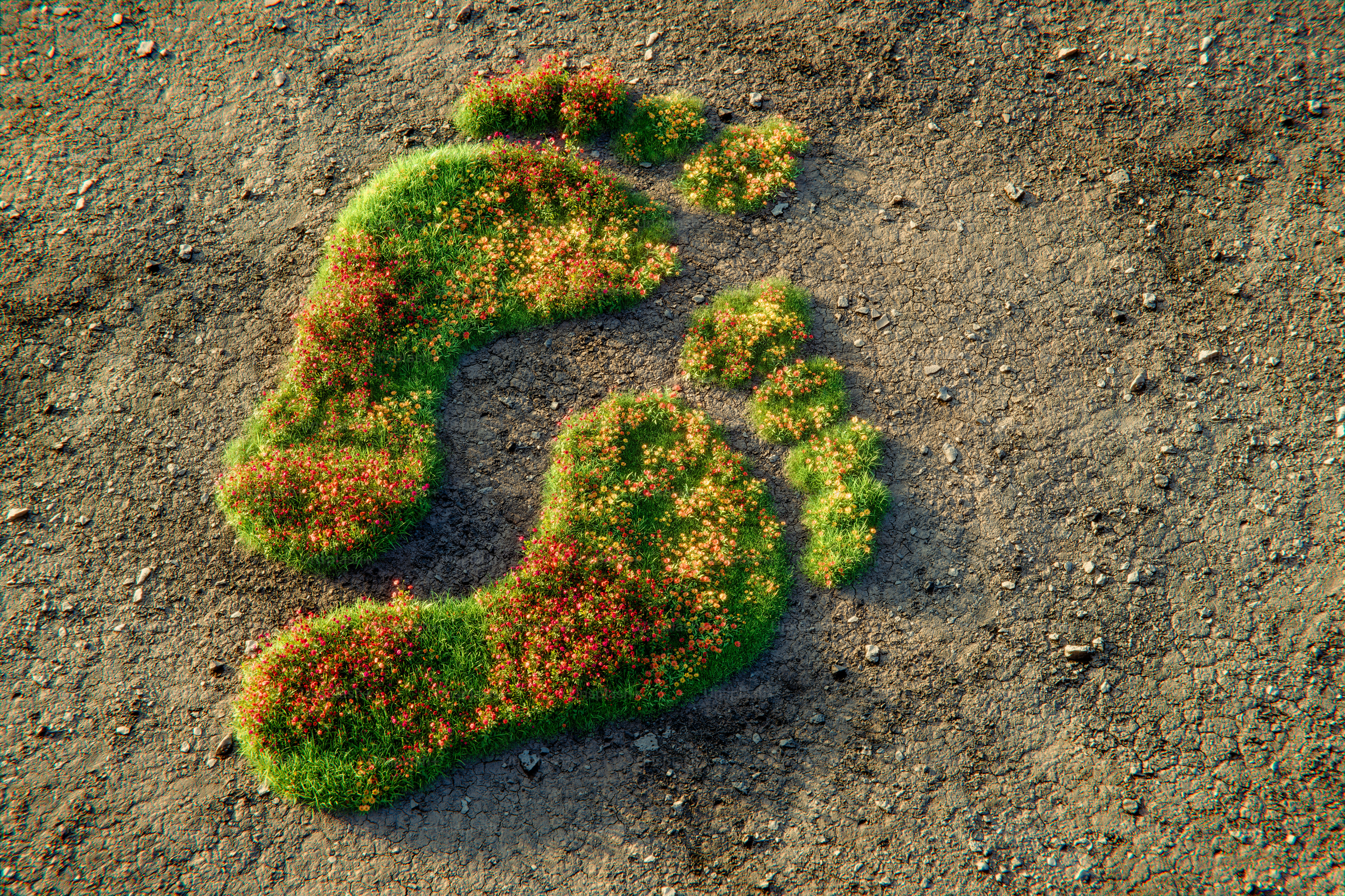 Human footprints overgrown with grass and flowers on dry terrain. 3D render.