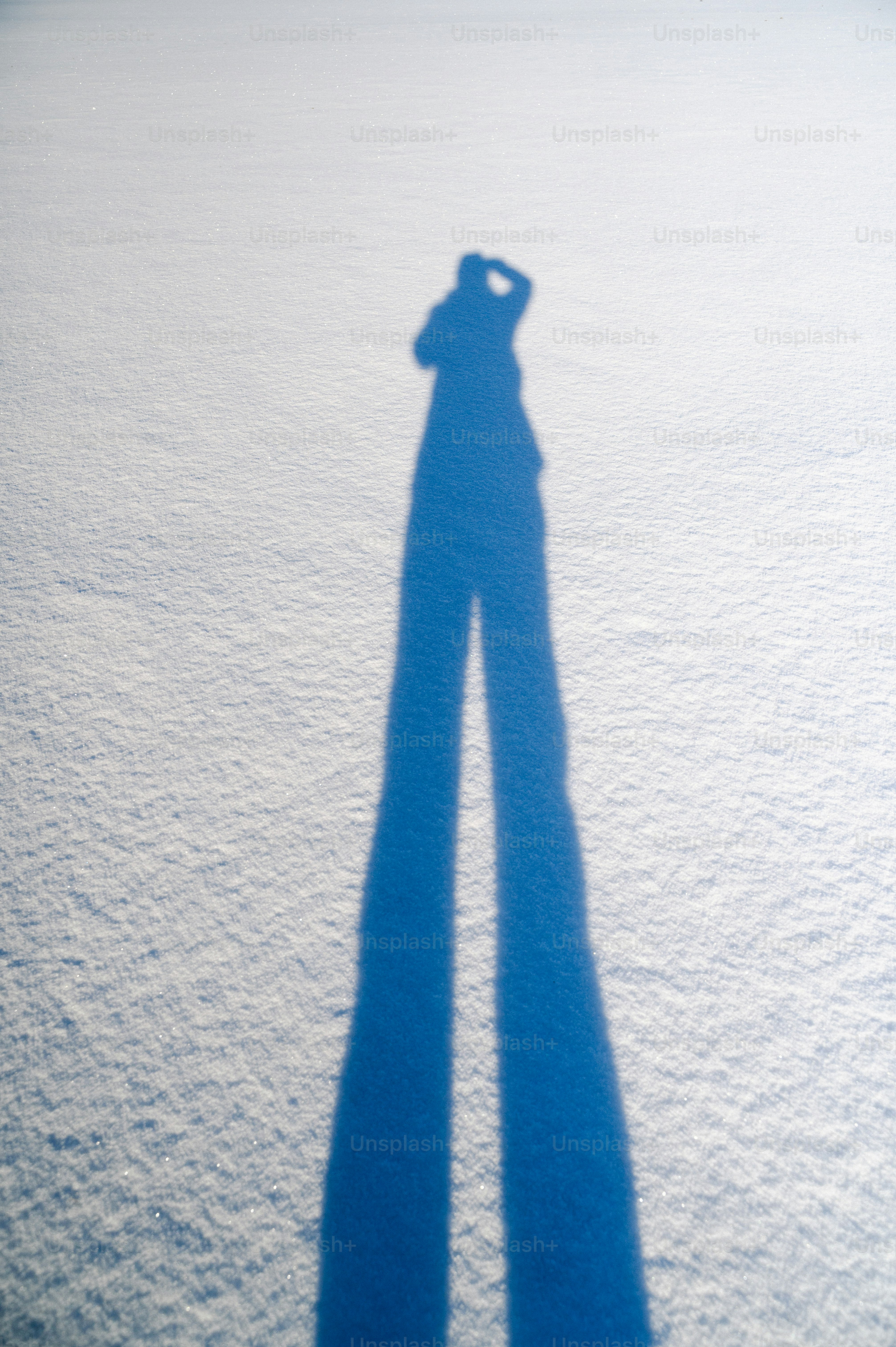 明るい光の中でカメラを持つ人の影。