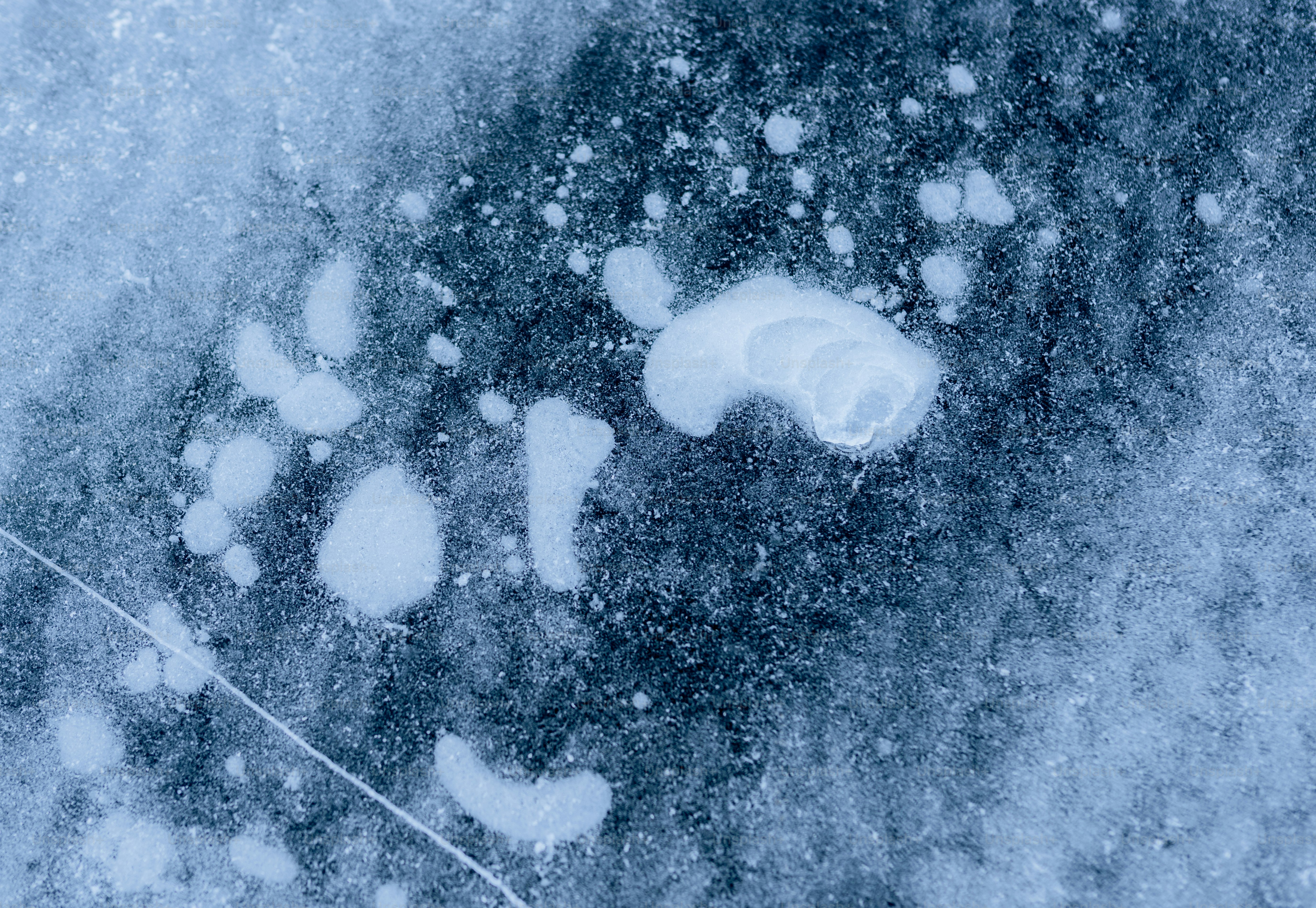 氷に閉じ込められた凍った泡