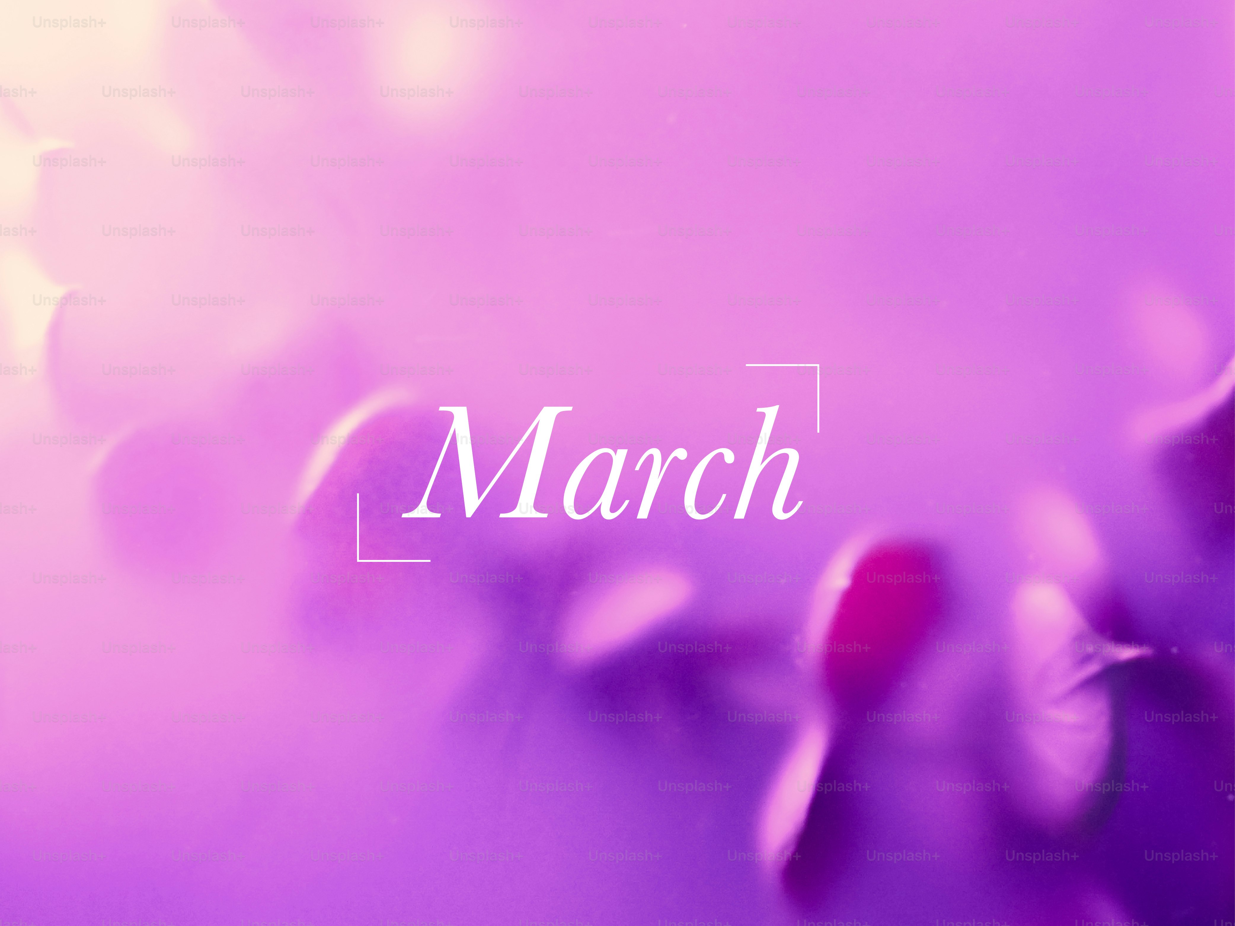 Soft purple and pink floral background with the word march.