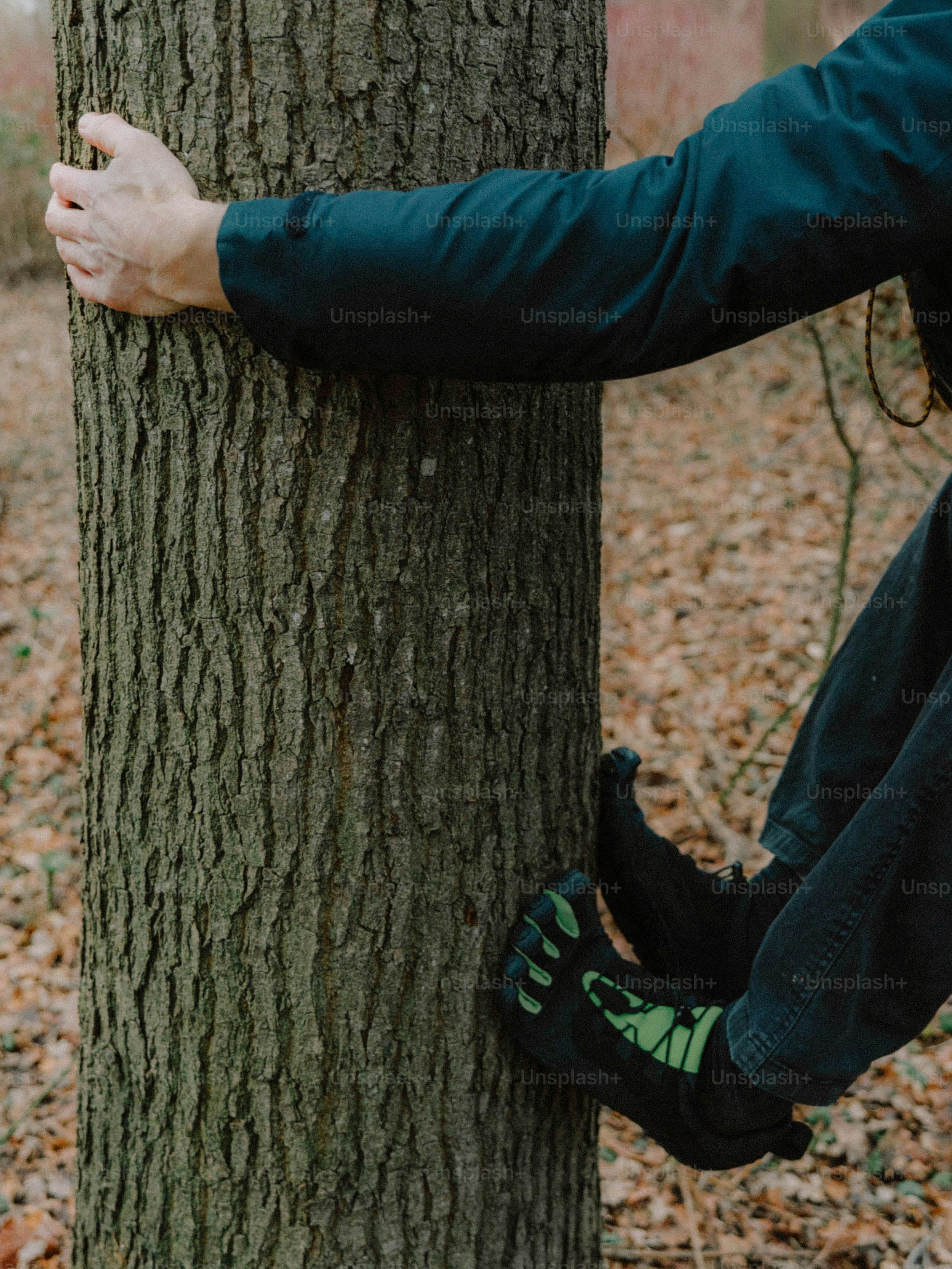 Person hugging a tree with special shoes photo – Fitness Image on Unsplash