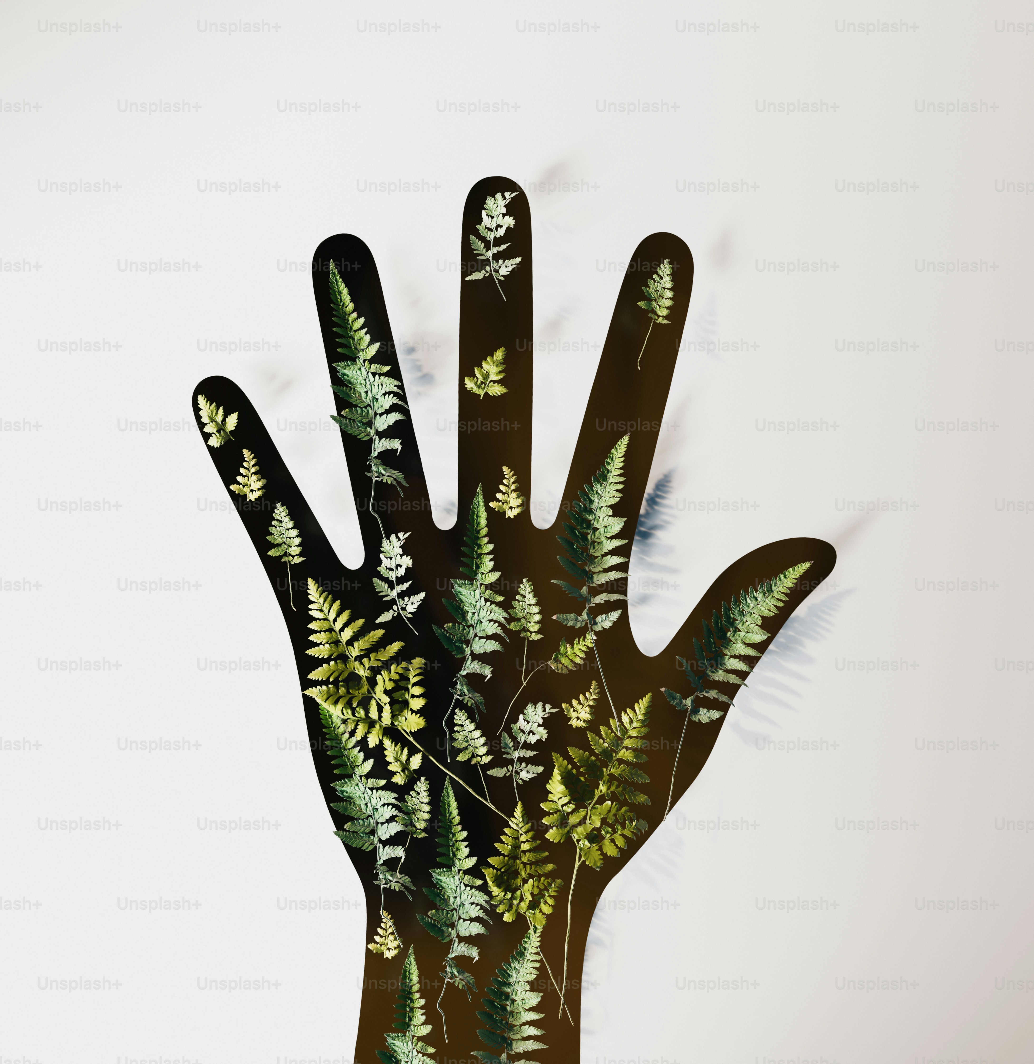 緑のシダと葉でいっぱいの手のシルエット。