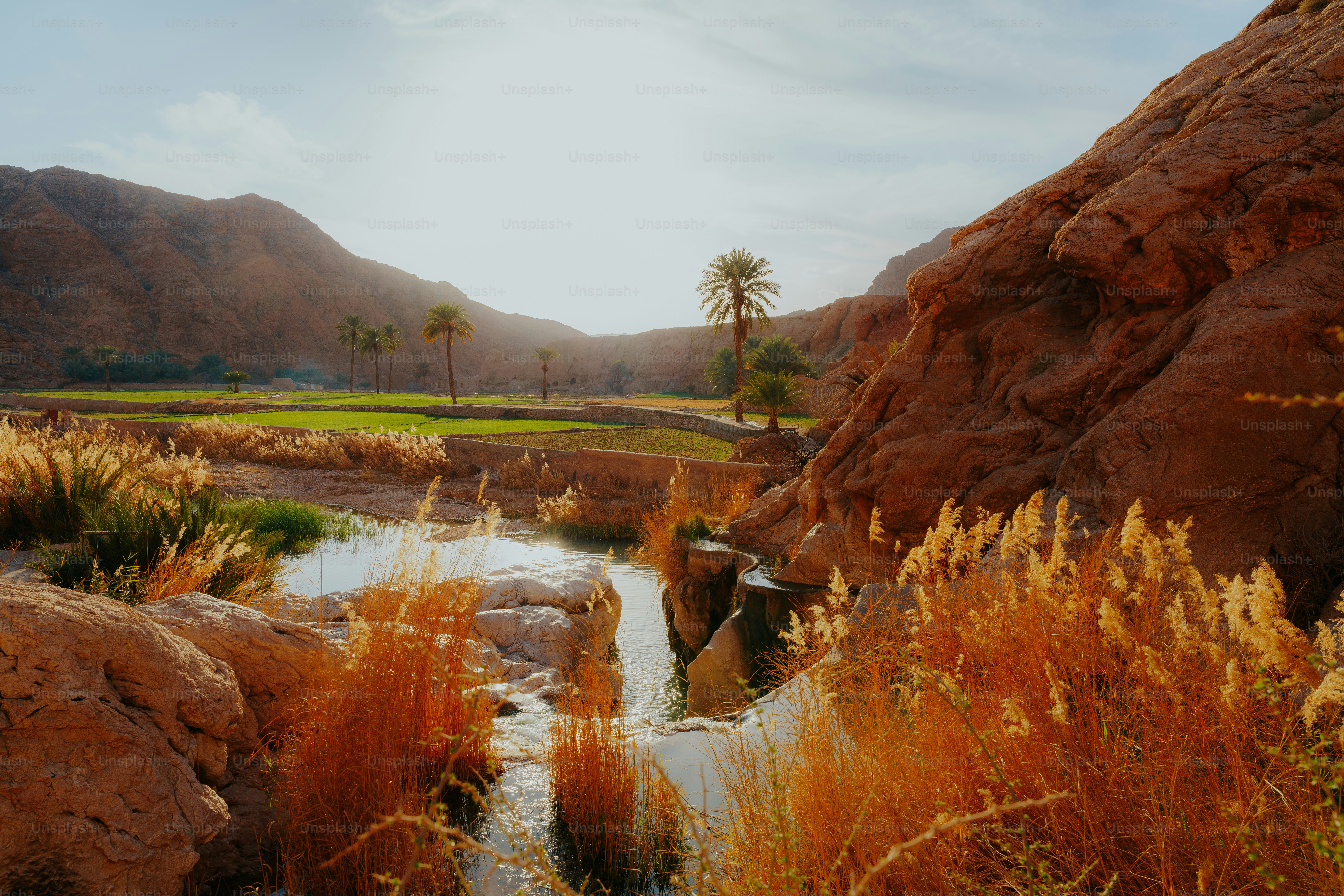 Oasis gurun dengan pohon palem dan sungai
