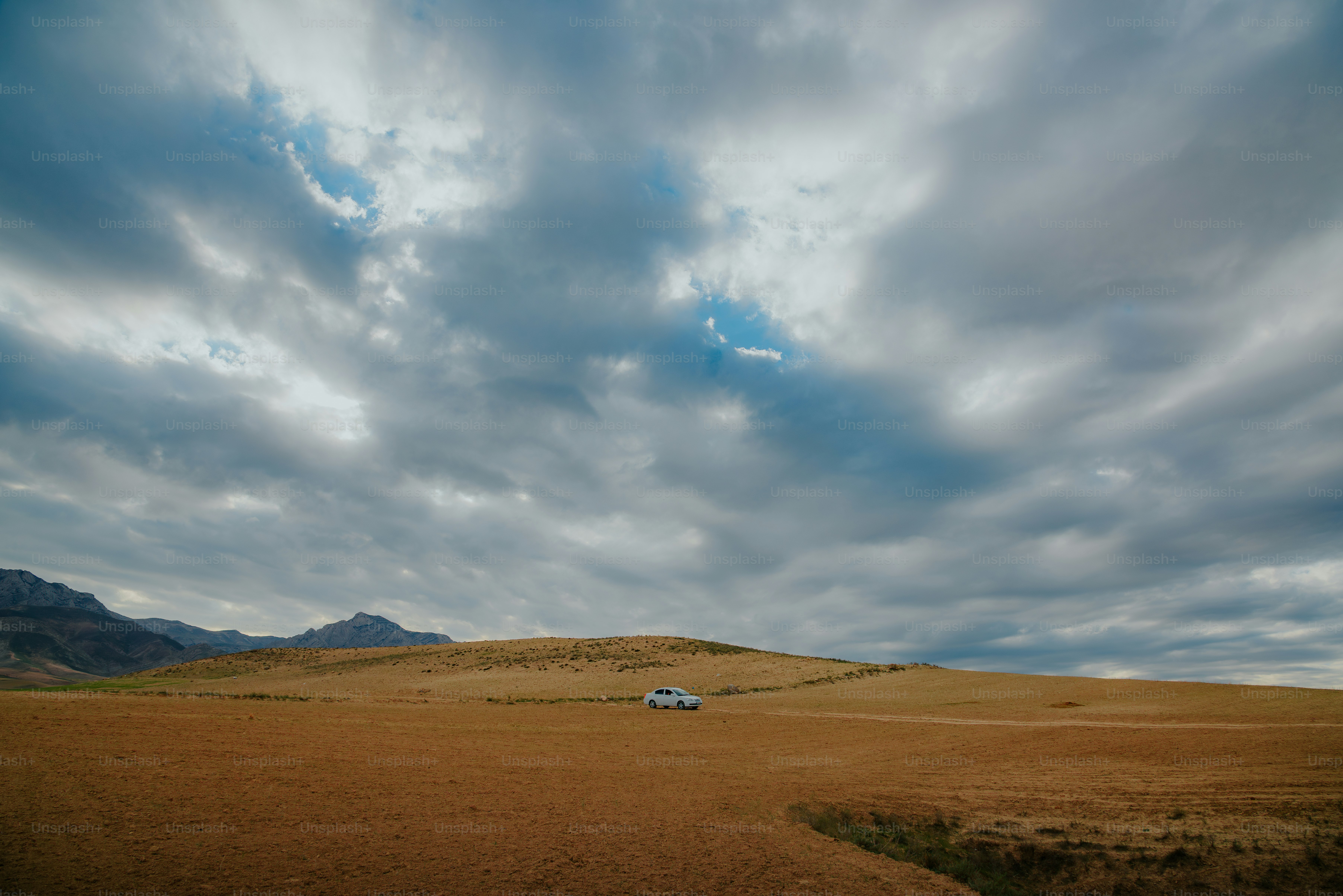 Une petite maison blanche se dresse dans un vaste champ doré.