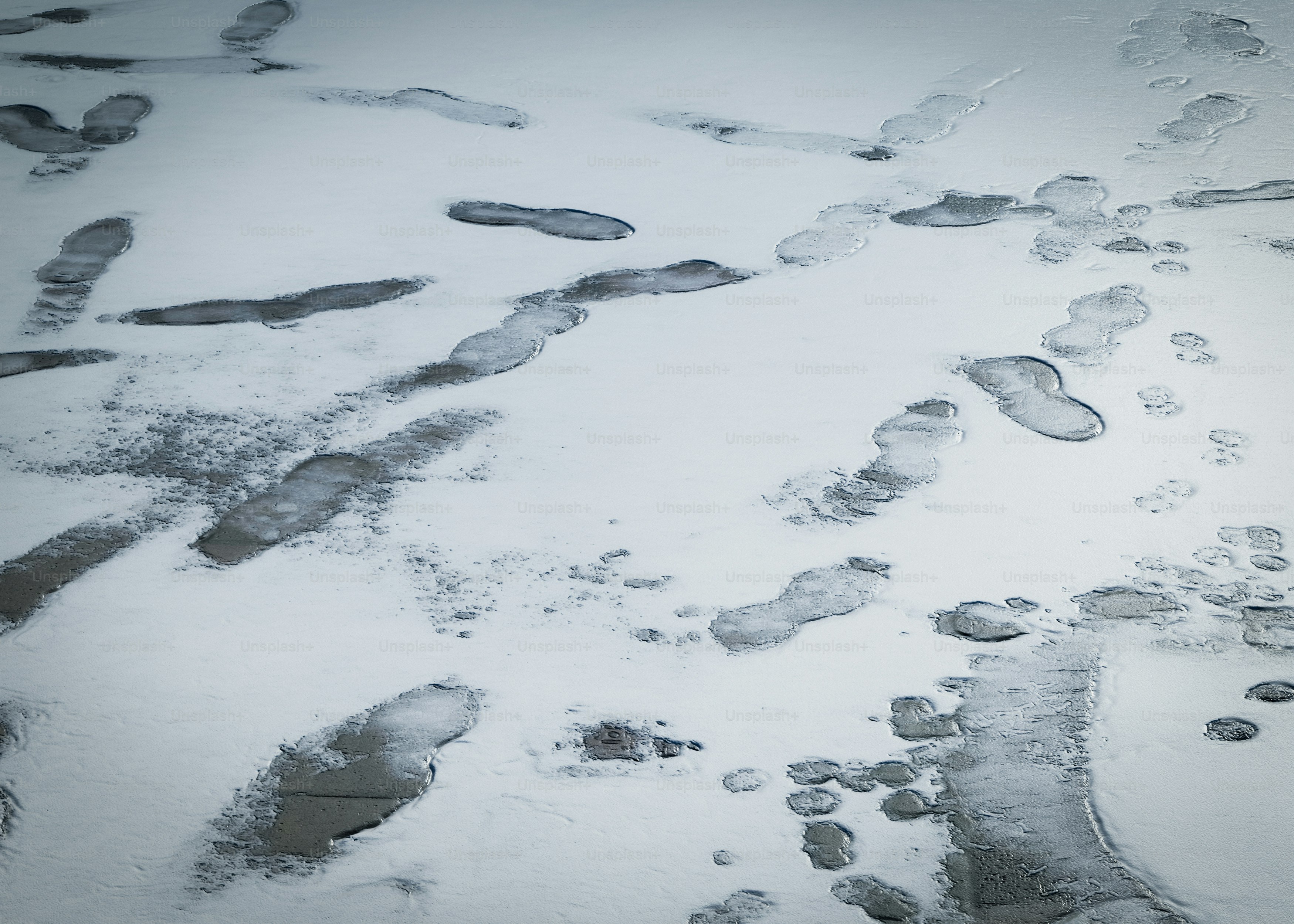 舗装路の雪解けの足跡