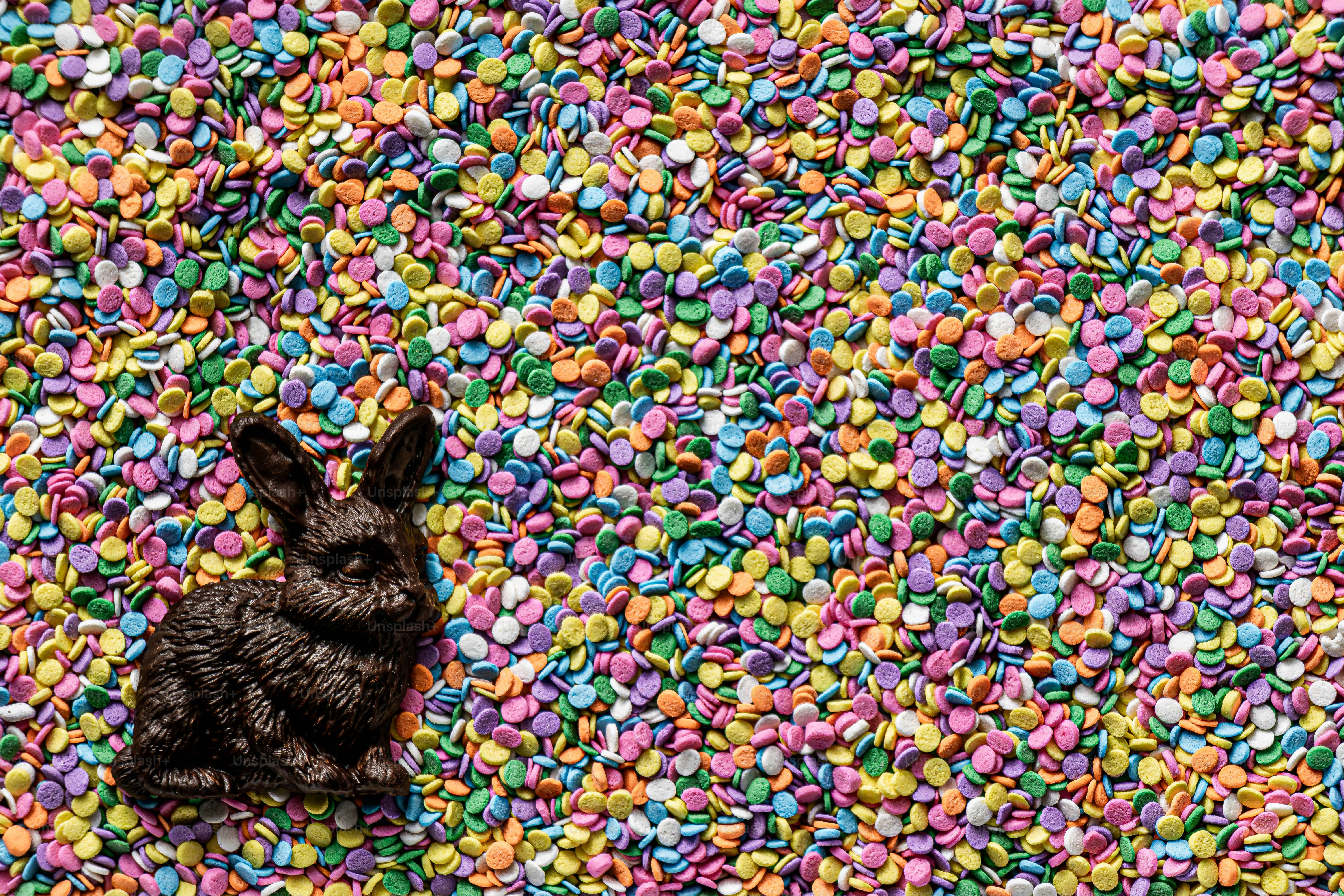 Un conejito de chocolate negro se sienta sobre coloridas chispas.
