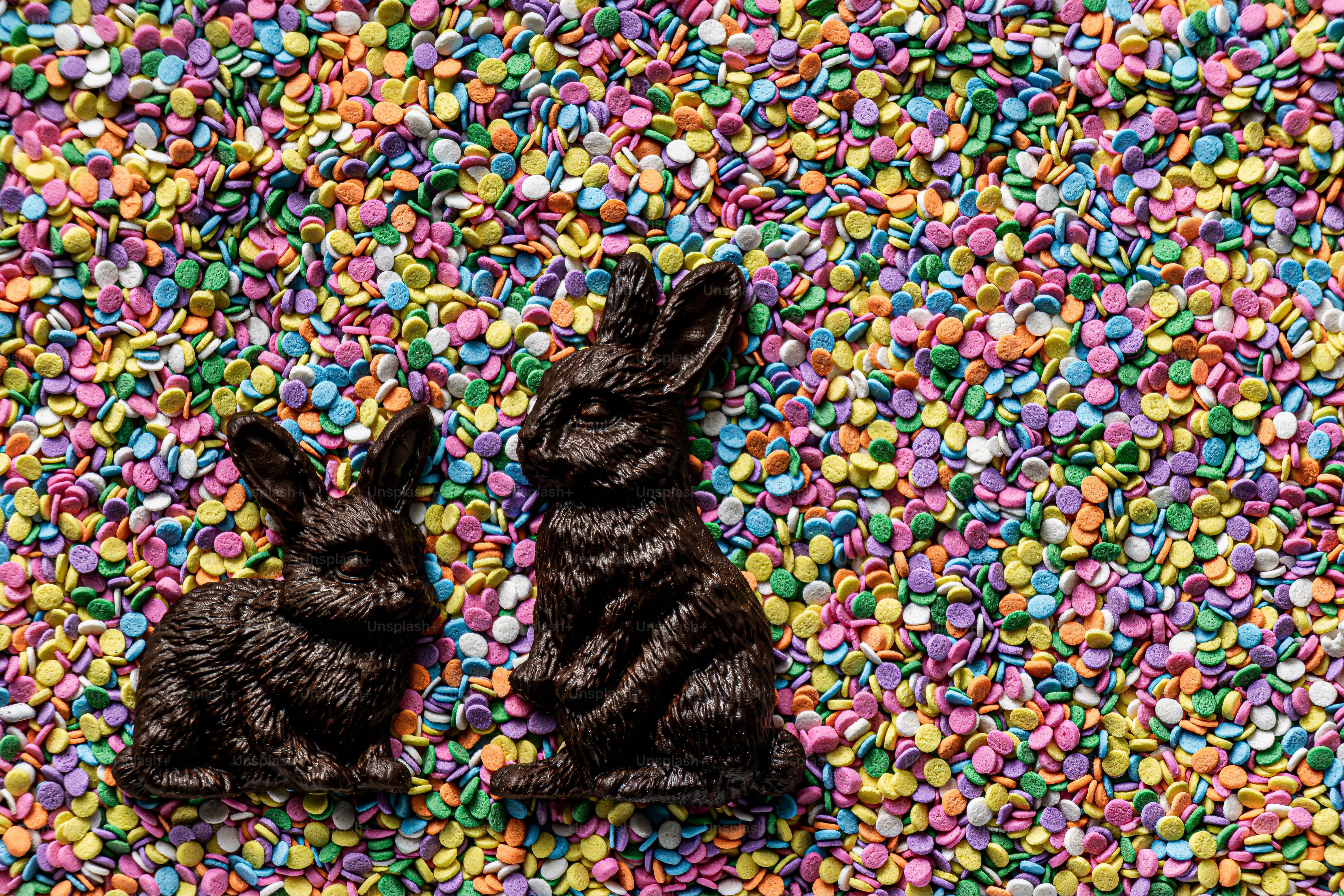 Dos conejitos de chocolate negro sobre coloridas chispas