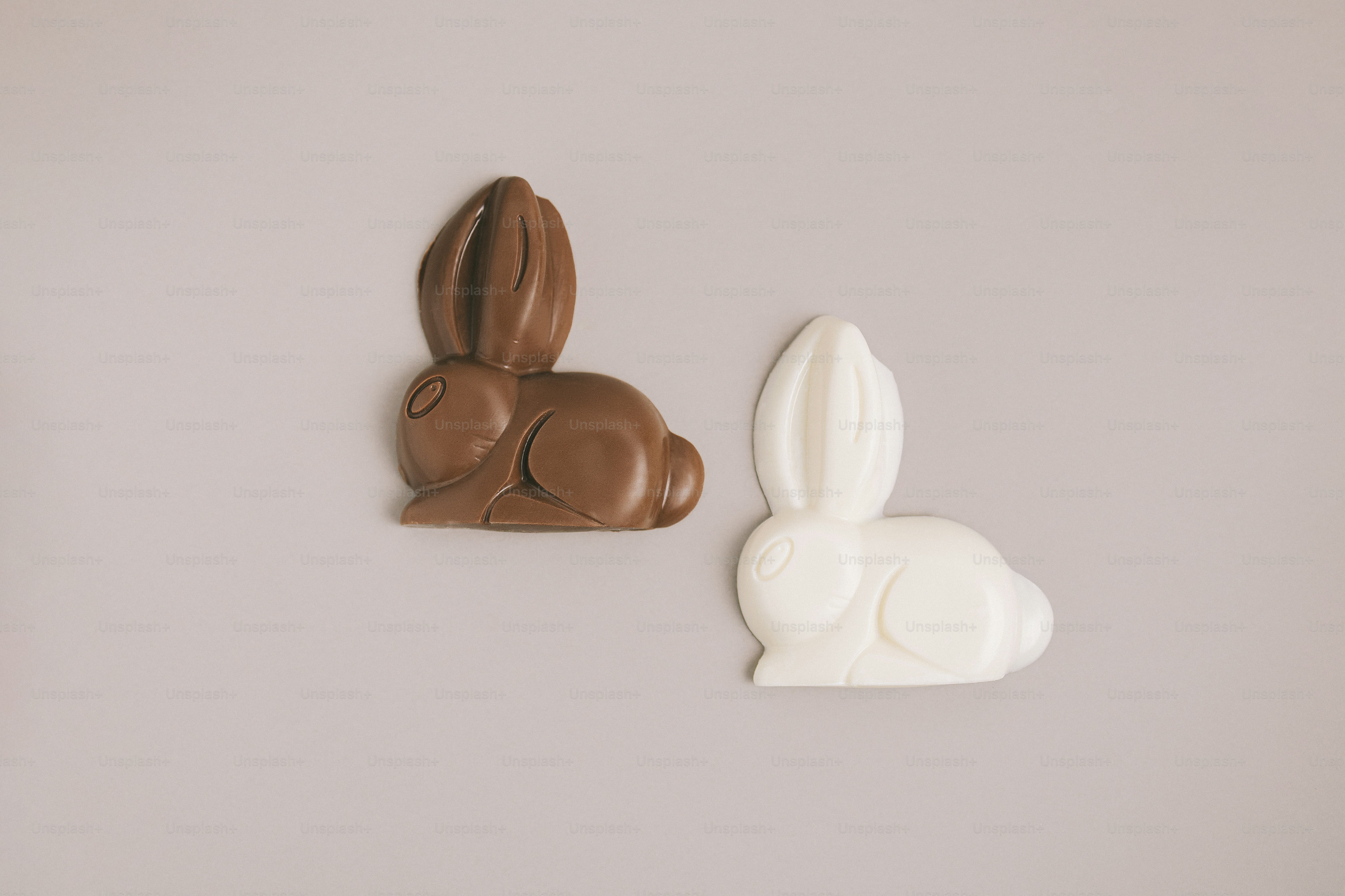 Two chocolate bunnies, one dark, one white.
