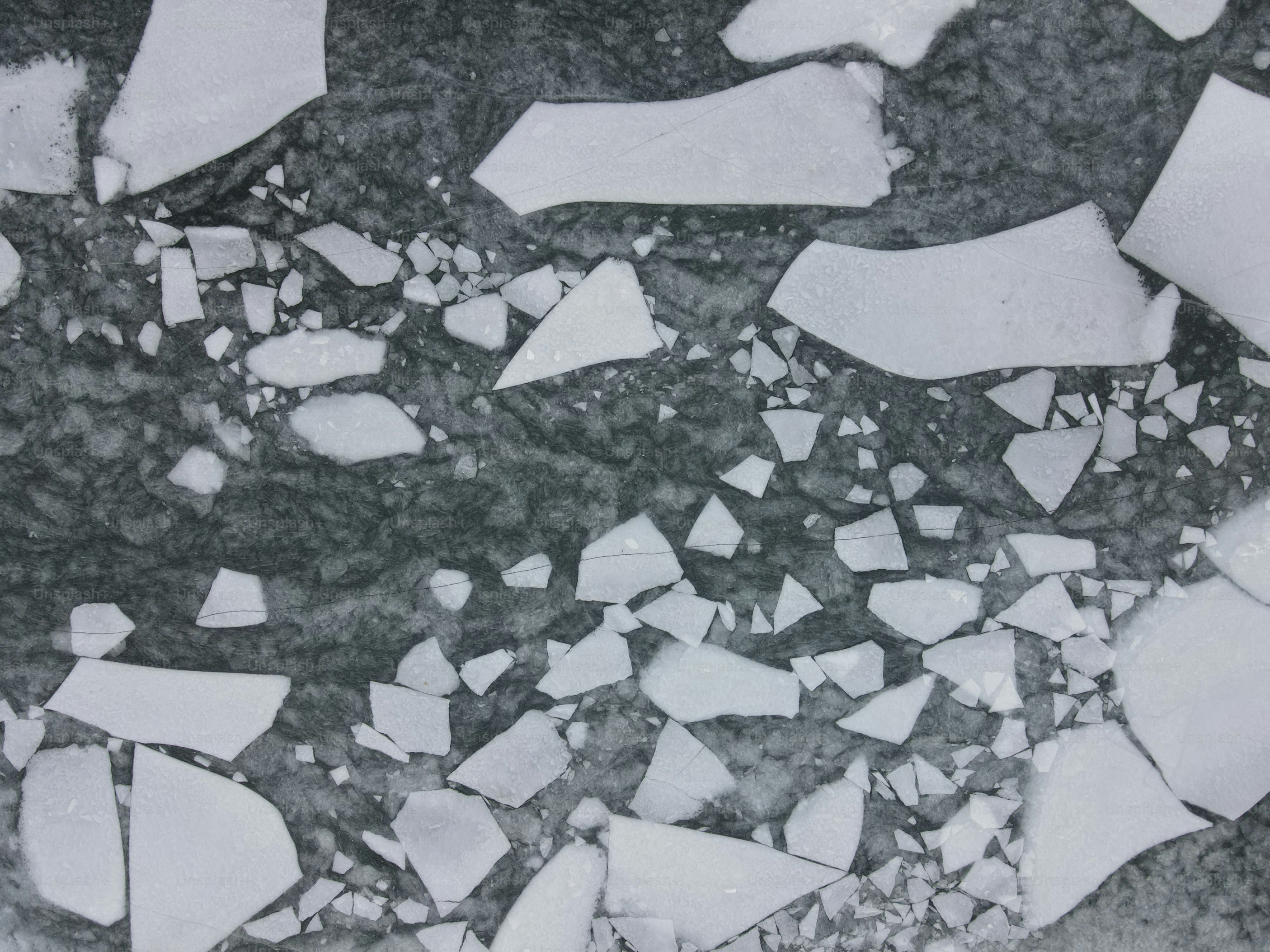 Cracked ice pieces floating on dark water surface