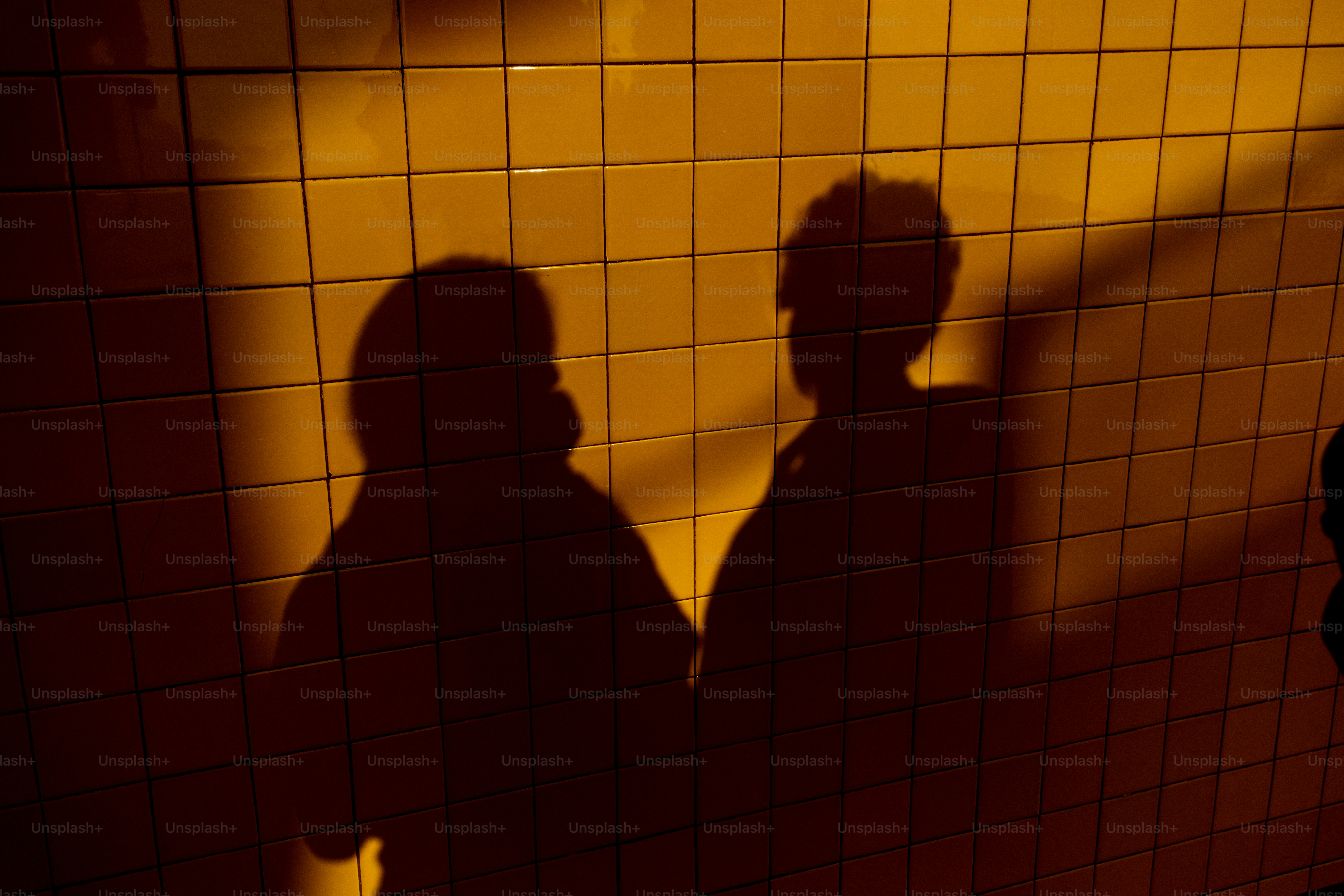 Two shadows cast on a tiled wall