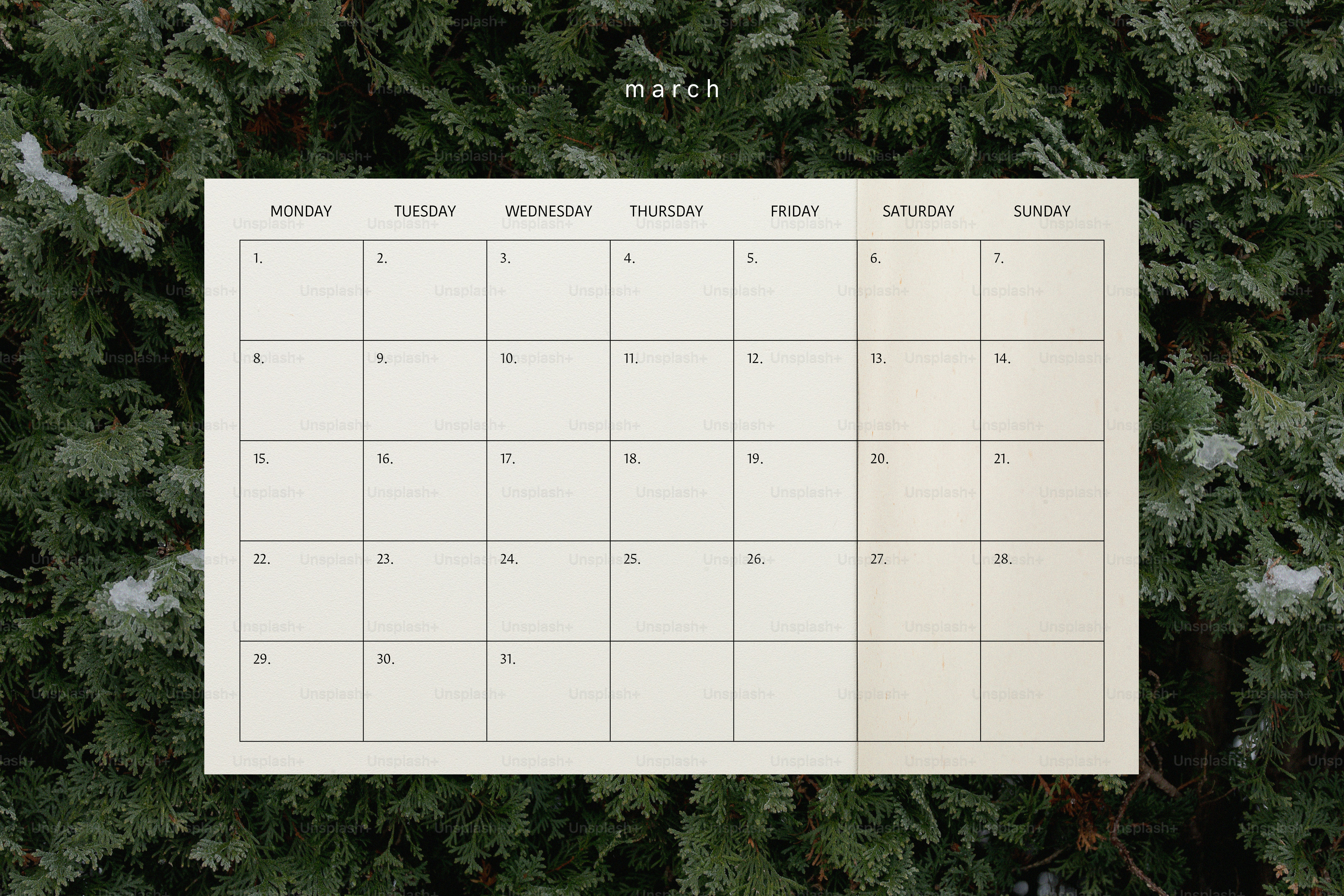 Calendario de marzo sobre un fondo de árbol perenne