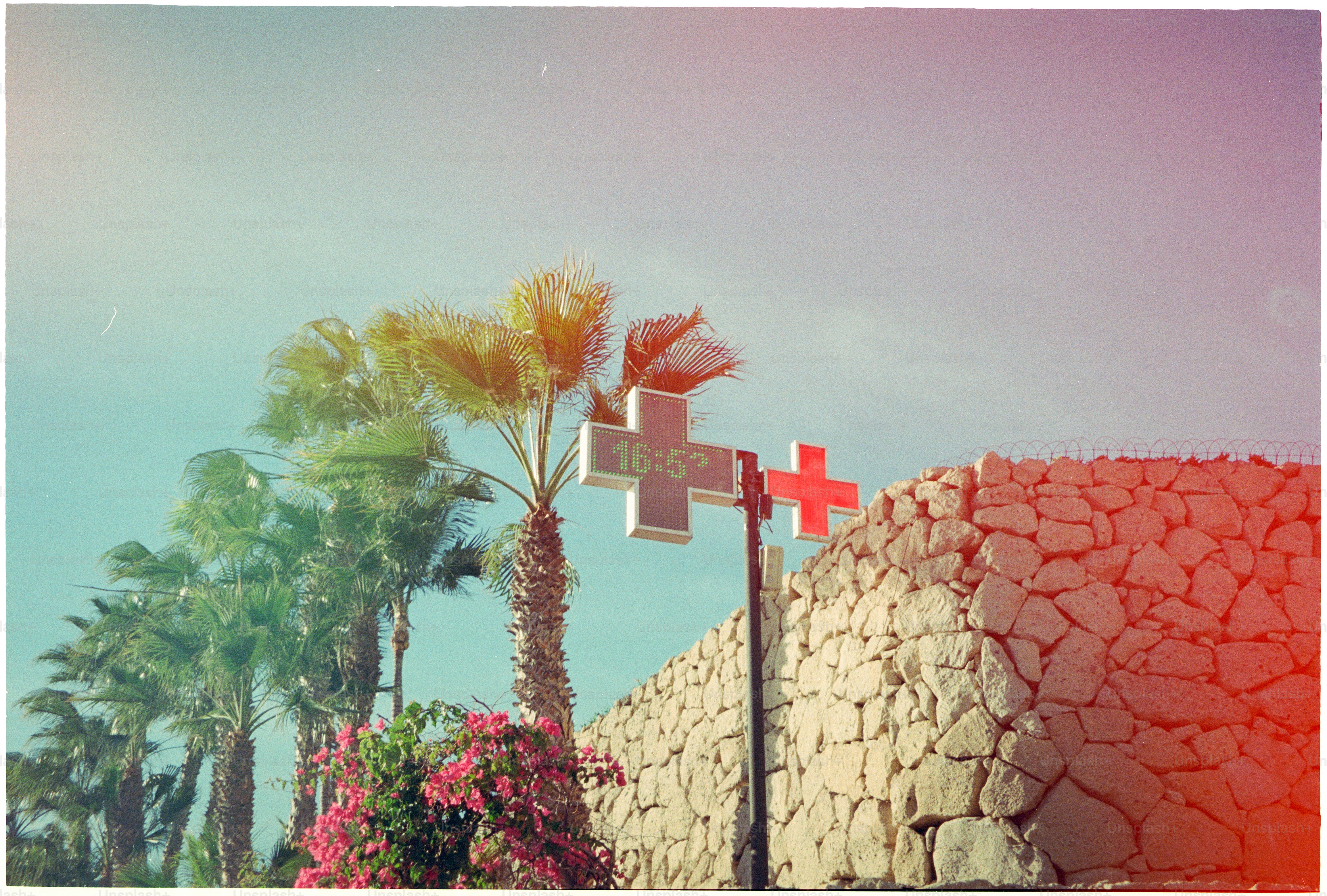 Palm trees and stone wall with red cross sign