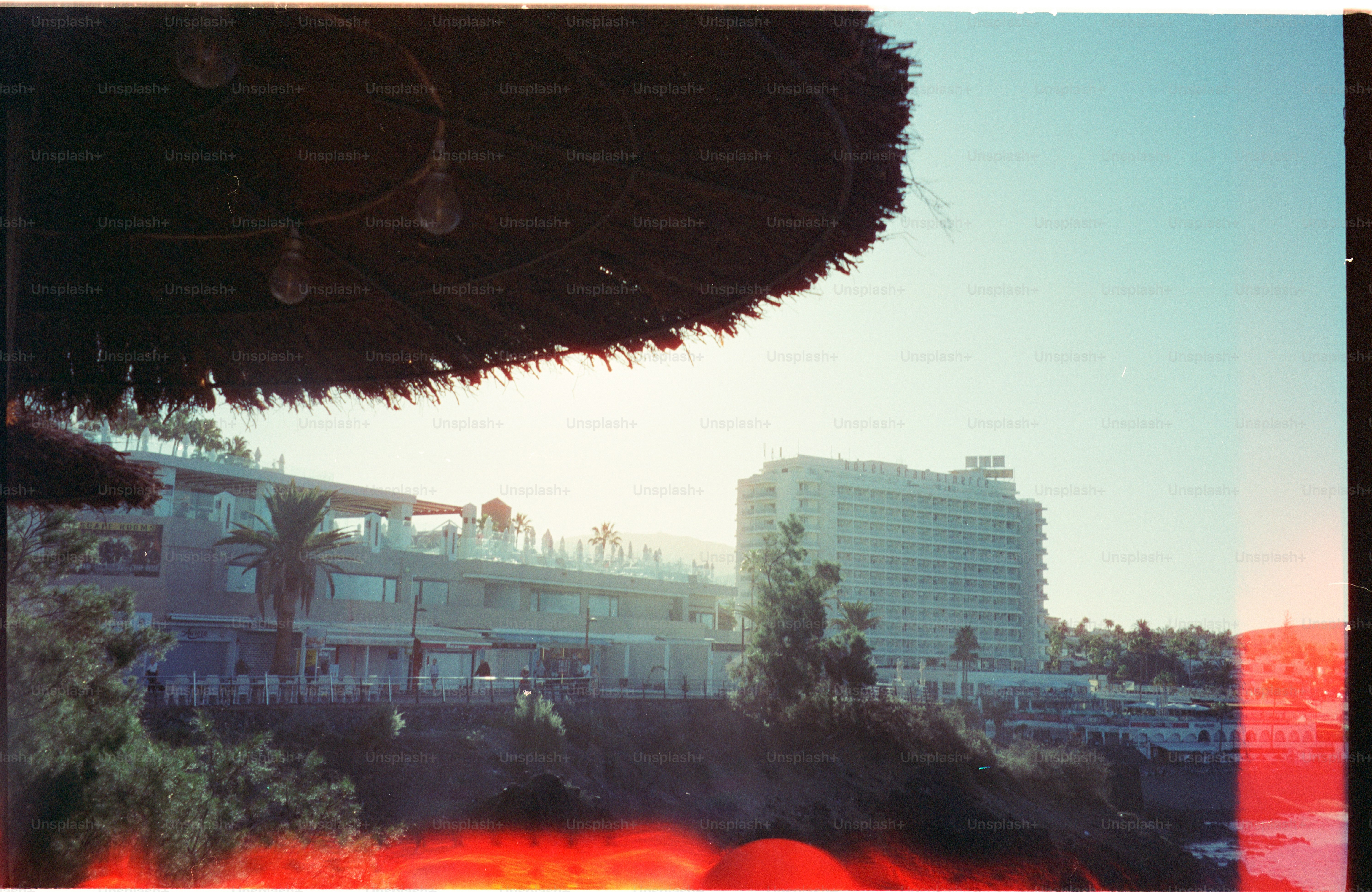Resort buildings on a sunny day with palm trees.