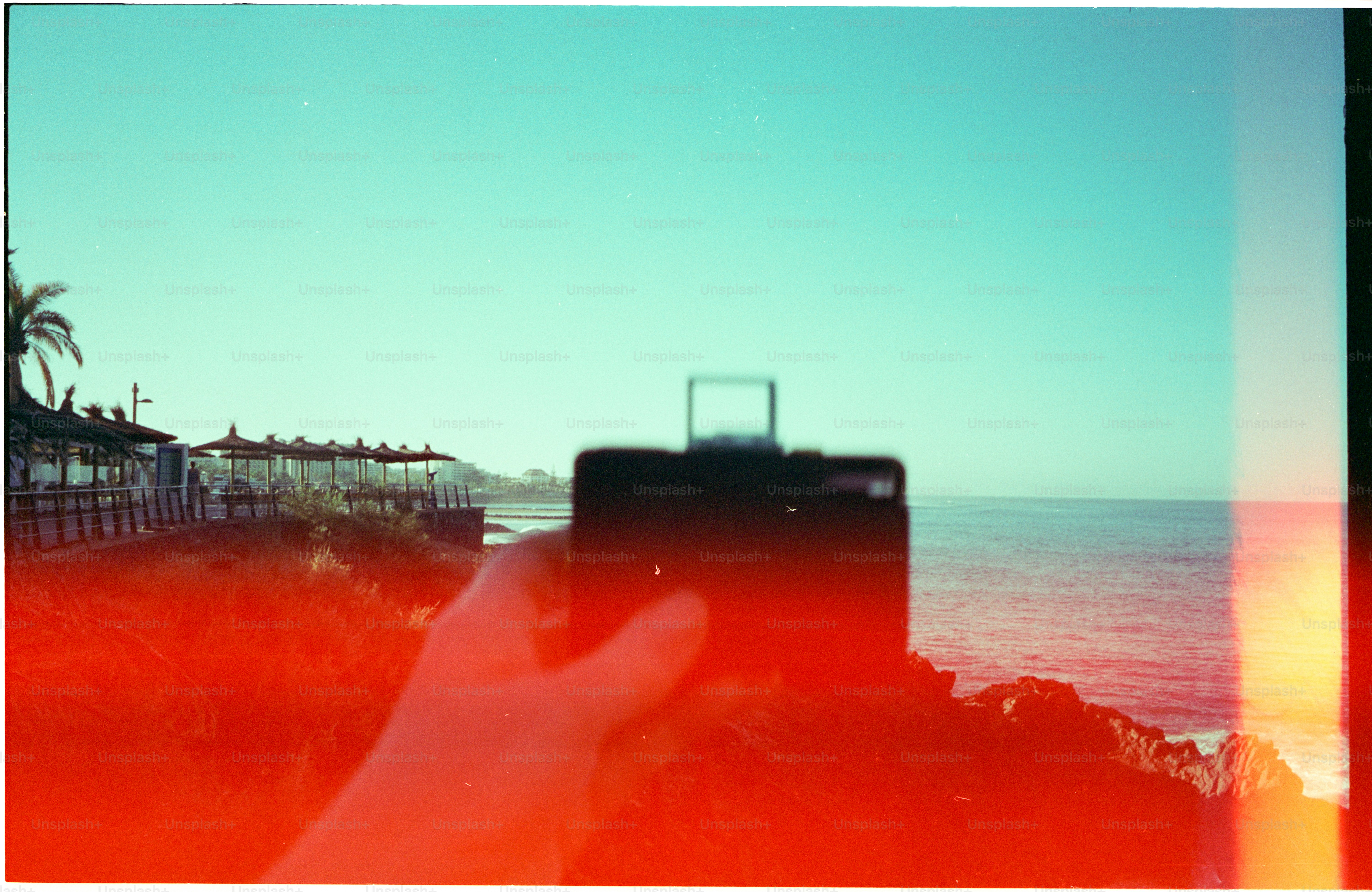 Tenere la macchina fotografica vintage con la mano che osserva l'oceano e le palme