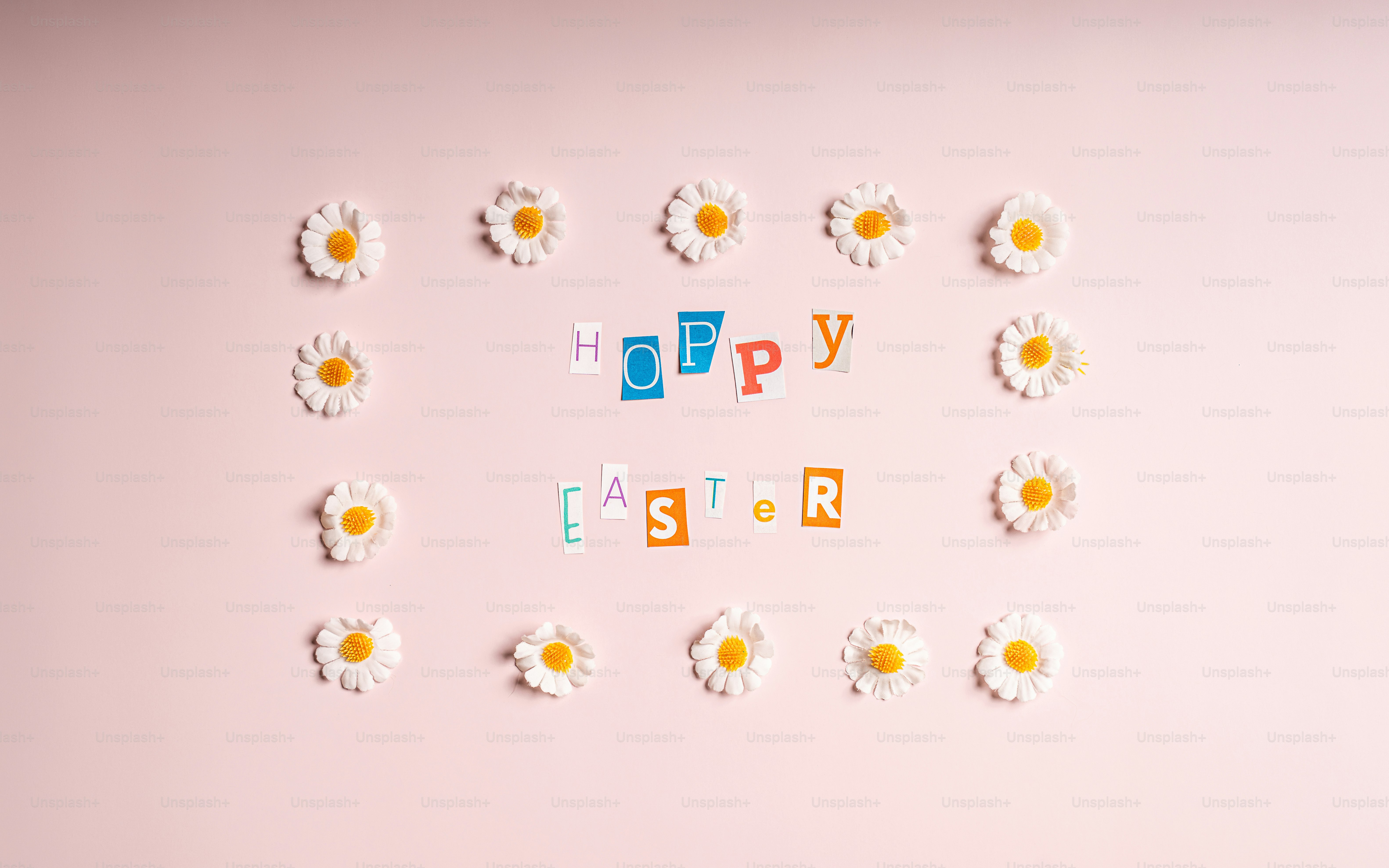 Happy easter text surrounded by daisies on pink background