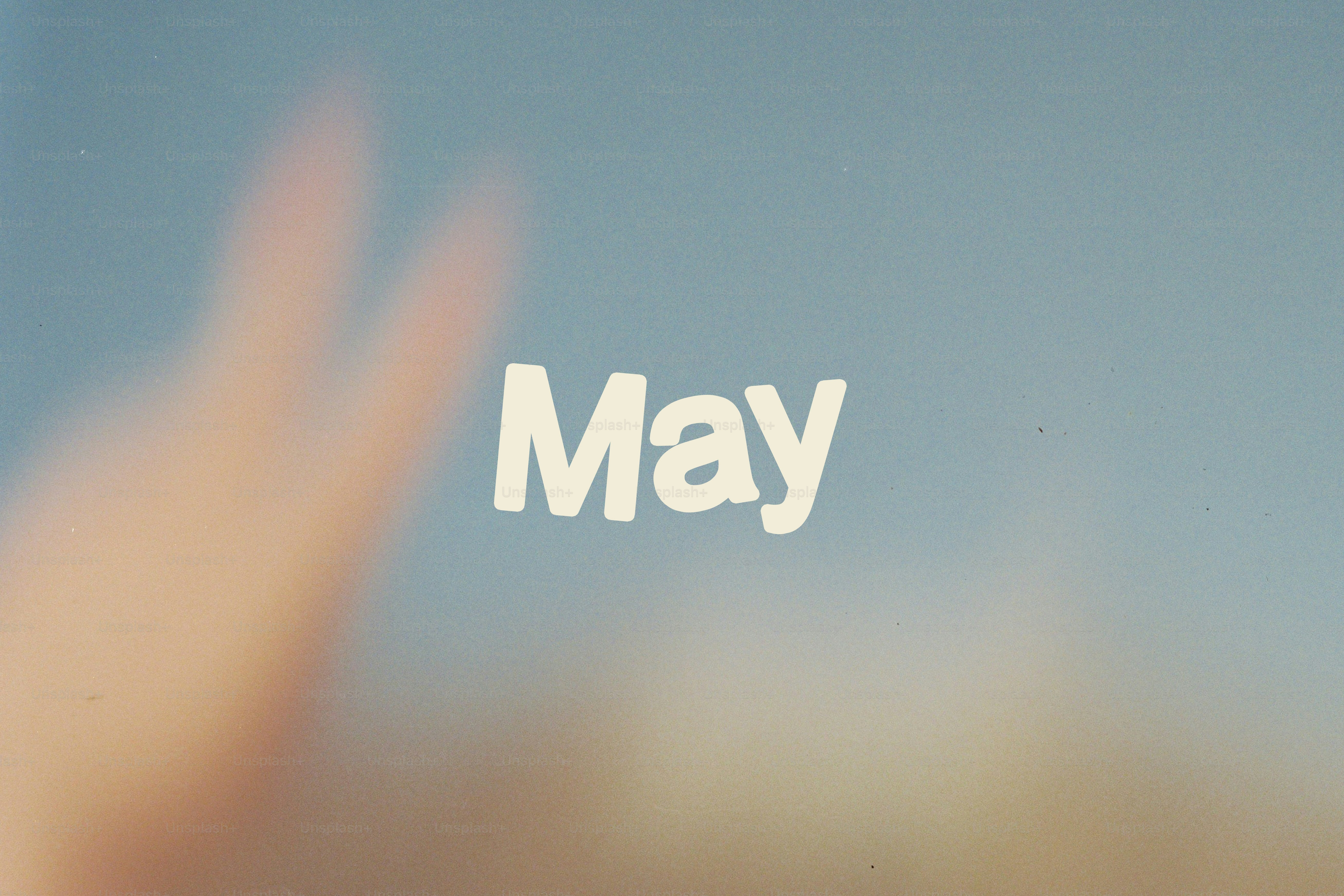 La palabra puede estar sobre un fondo borroso.