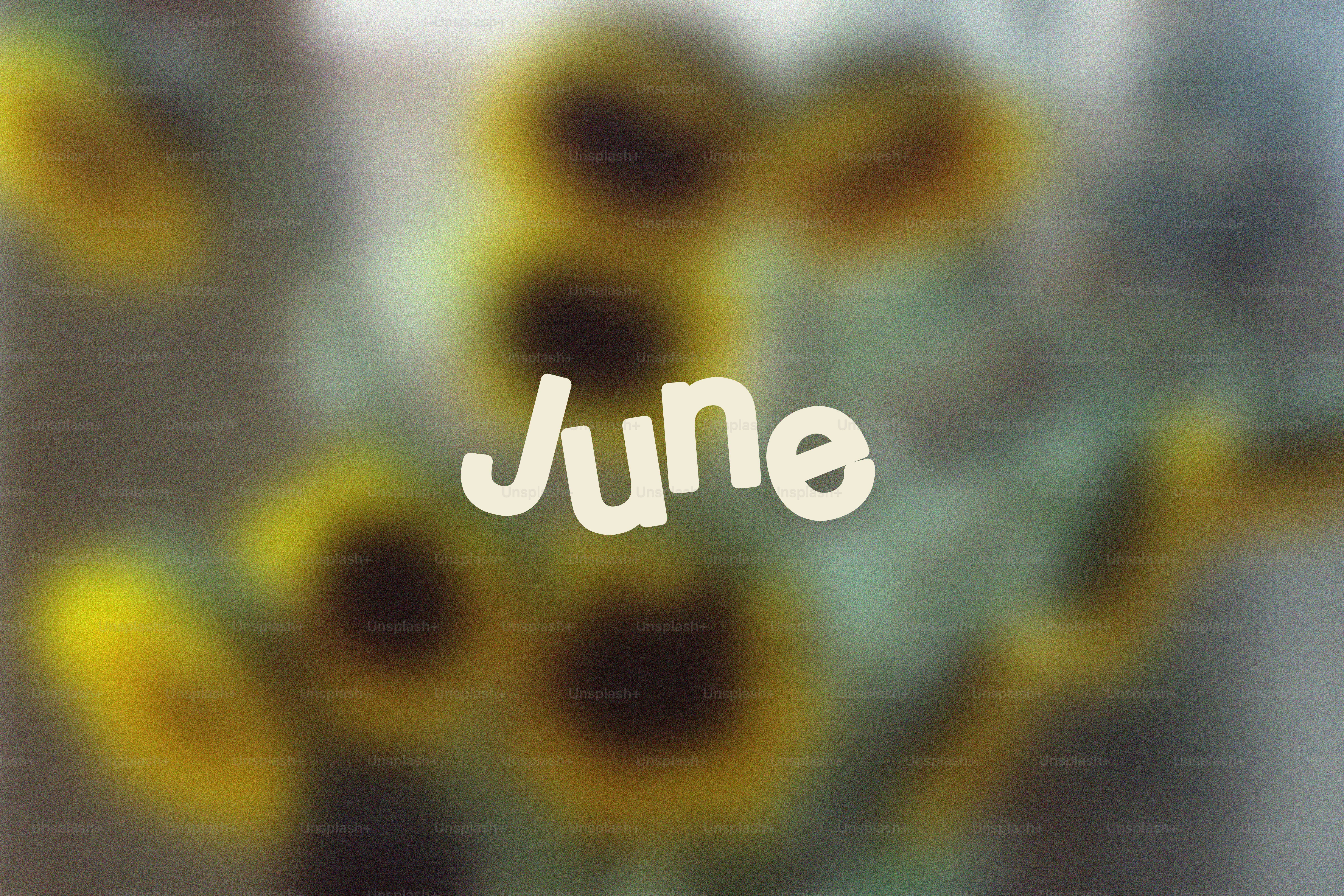 Girasoles con la palabra junio