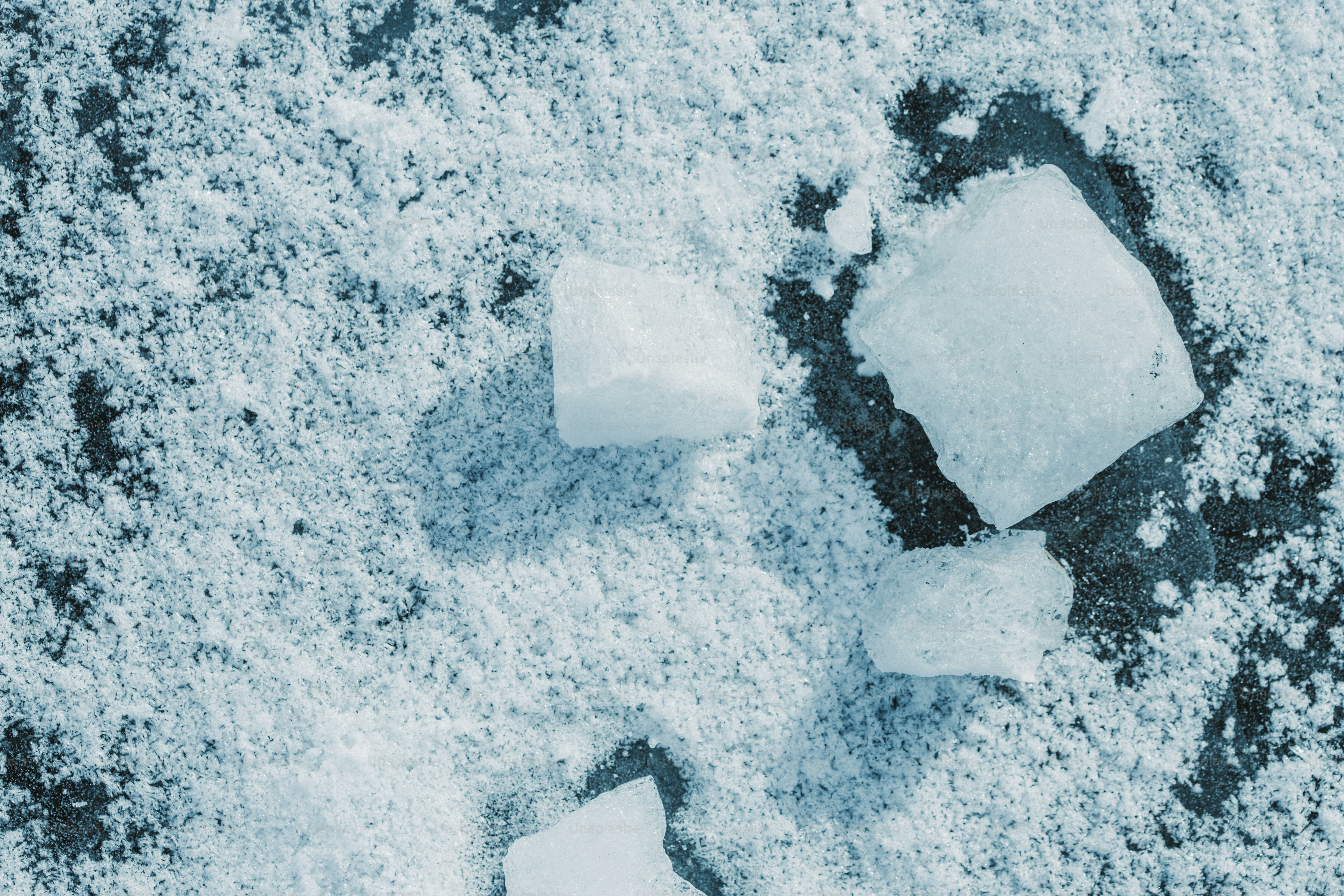 氷の塊が霜の面に散らばっている