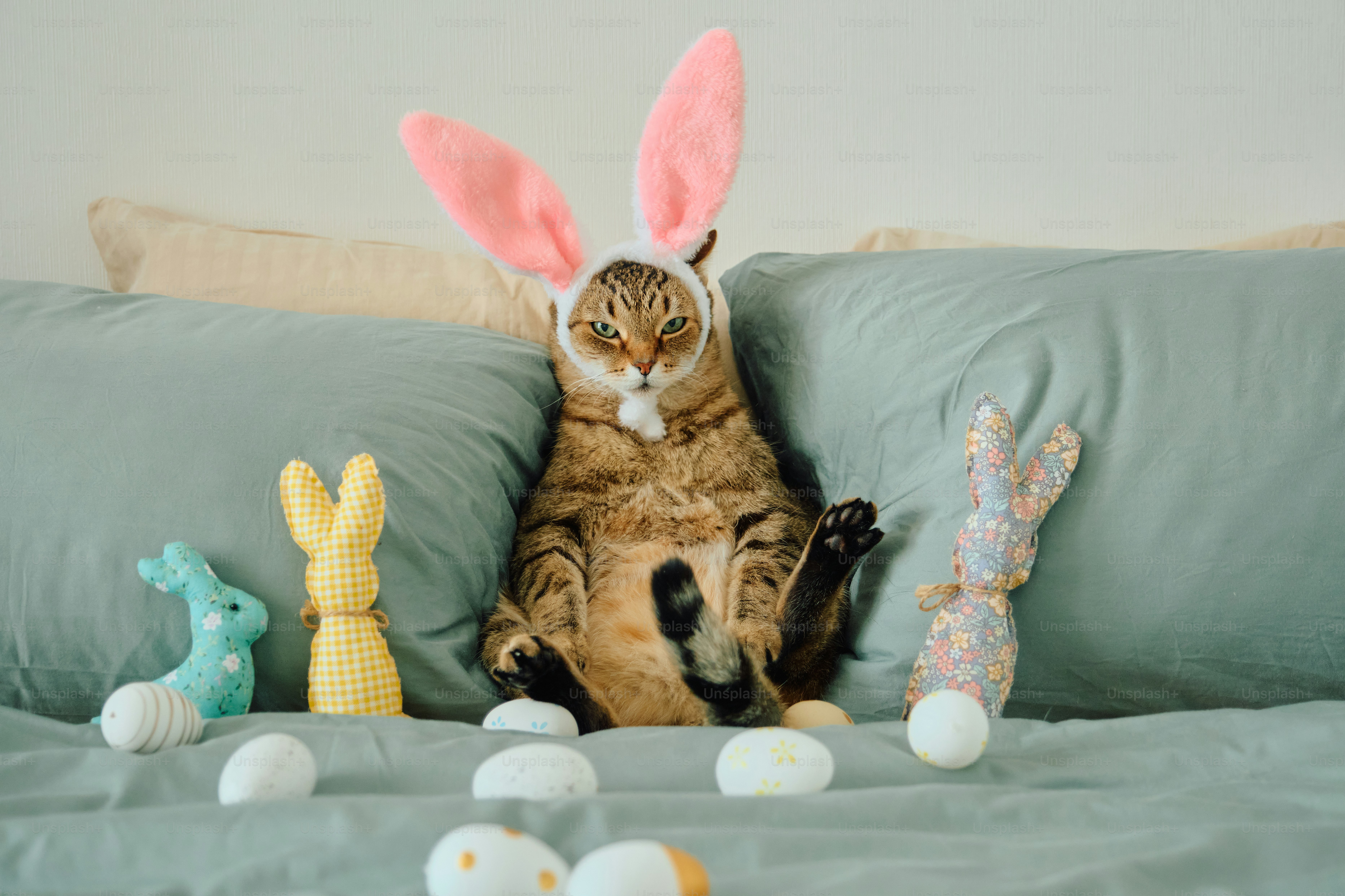 A cat wearing bunny ears with easter eggs
