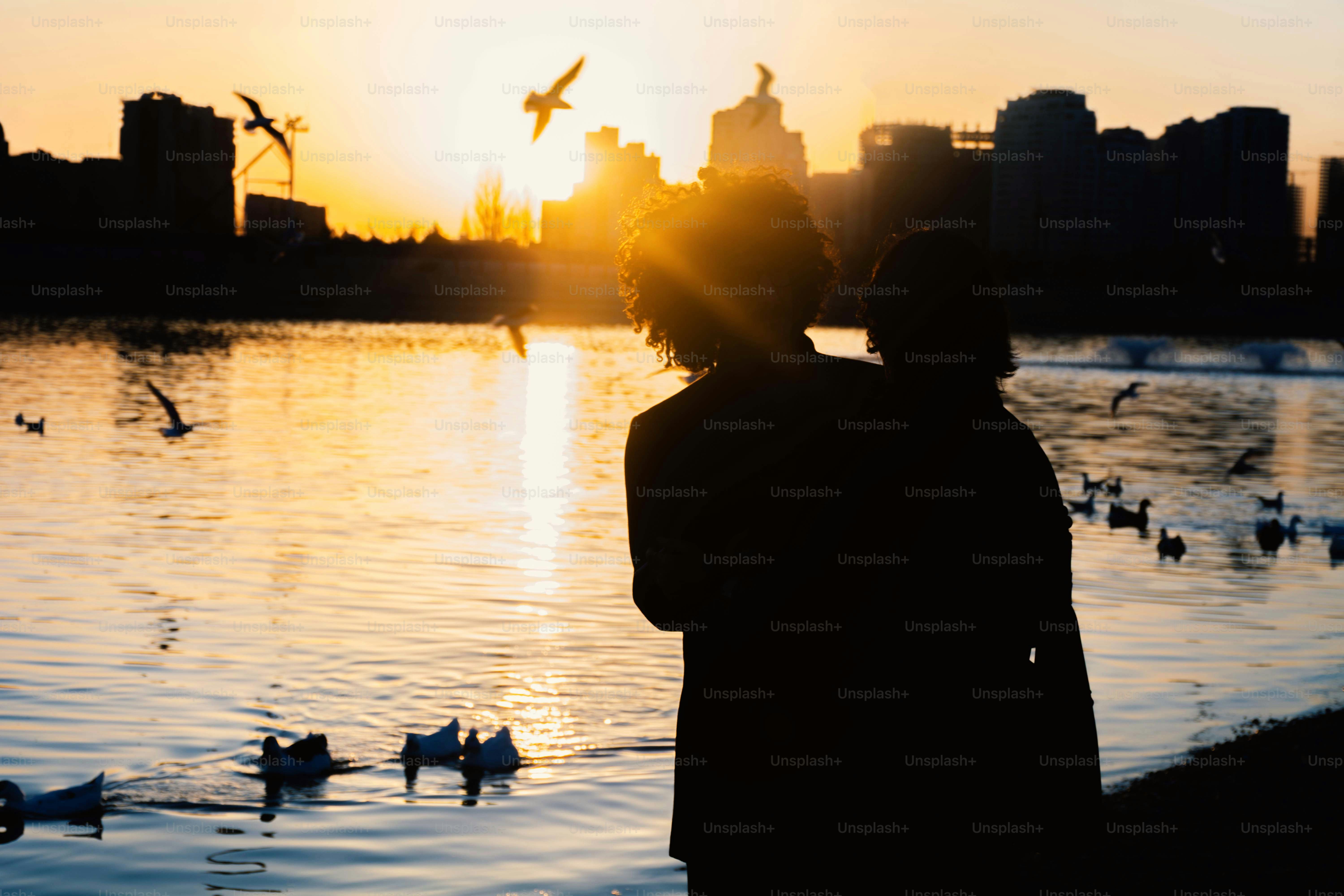 Siluetas de personas observando aves al atardecer junto al lago