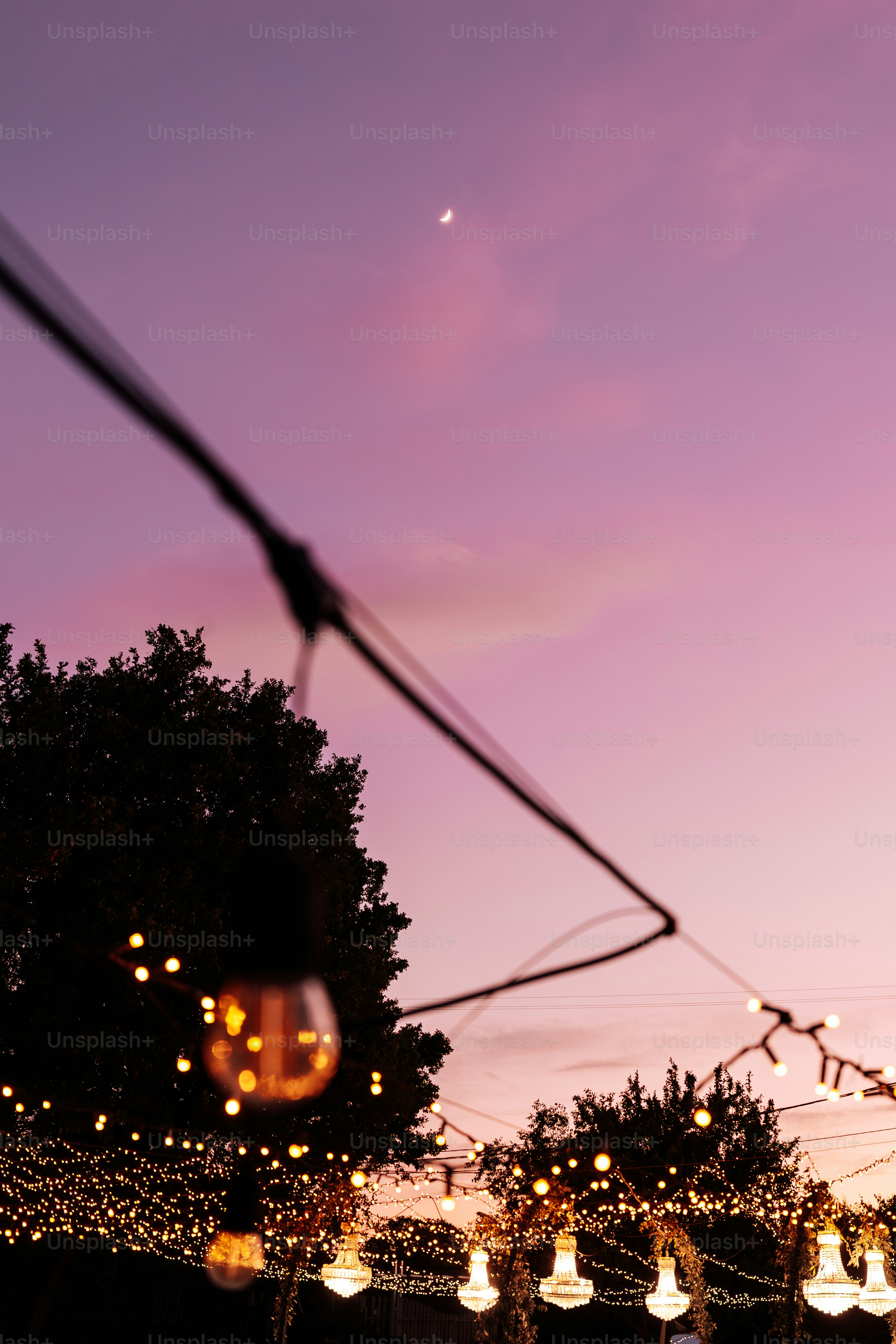 String lights illuminate trees against a purple sunset sky.