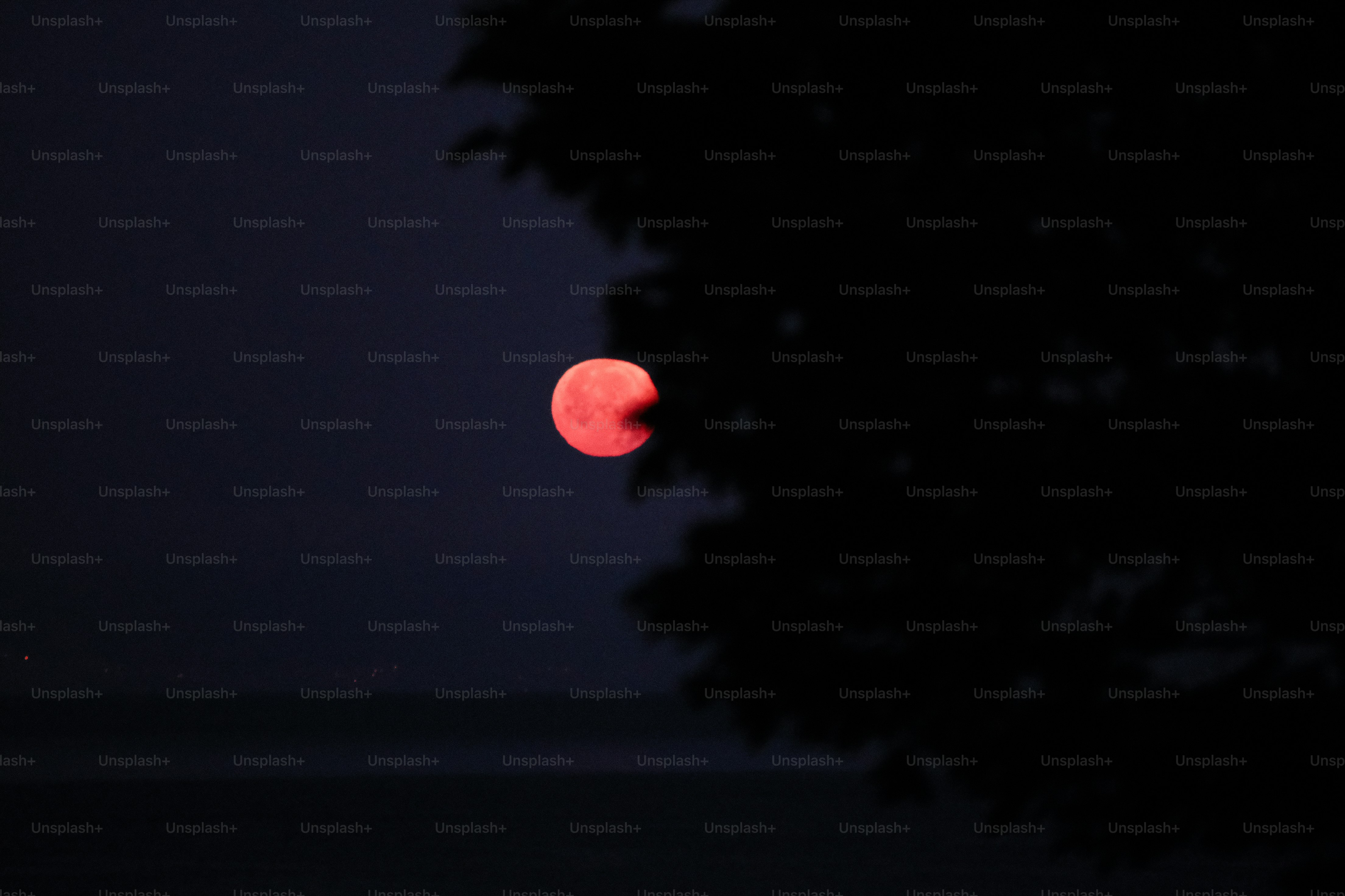 Red moon peeking through dark tree branches at night