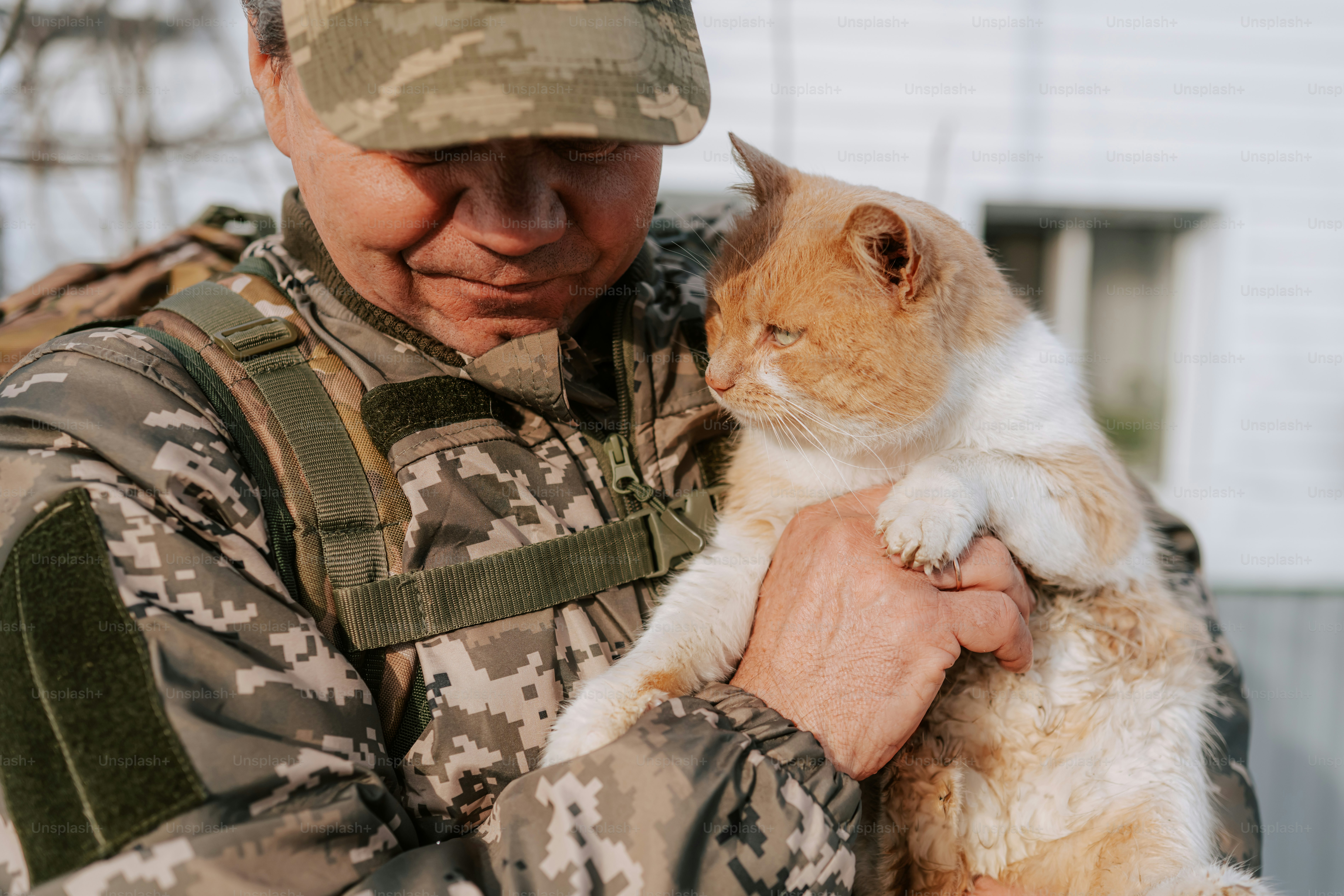 Soldier holding a fluffy orange and white cat photo – Man Image on Unsplash