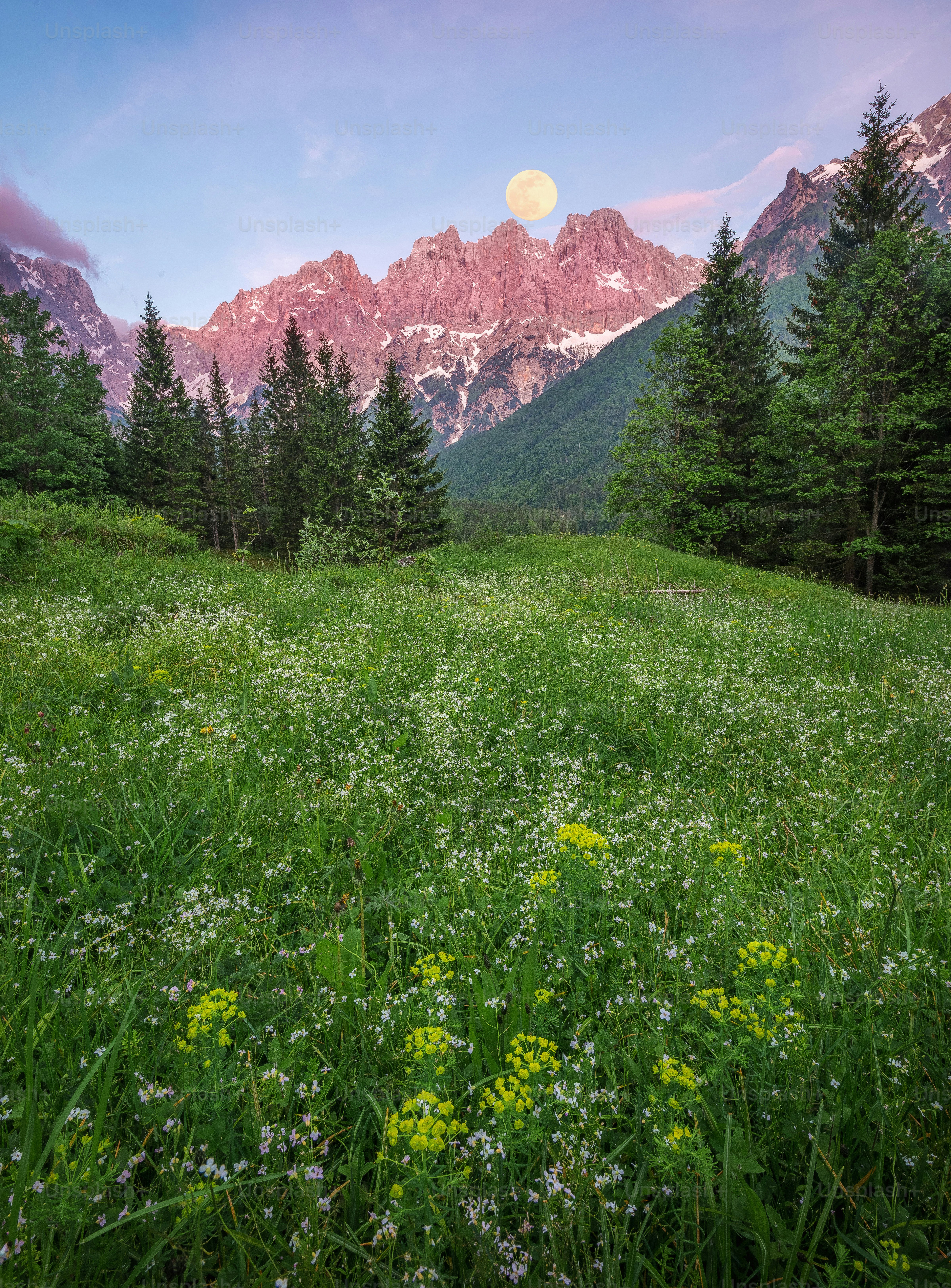 Full moon rising over snow-capped mountains at dusk photo – Night sky ...