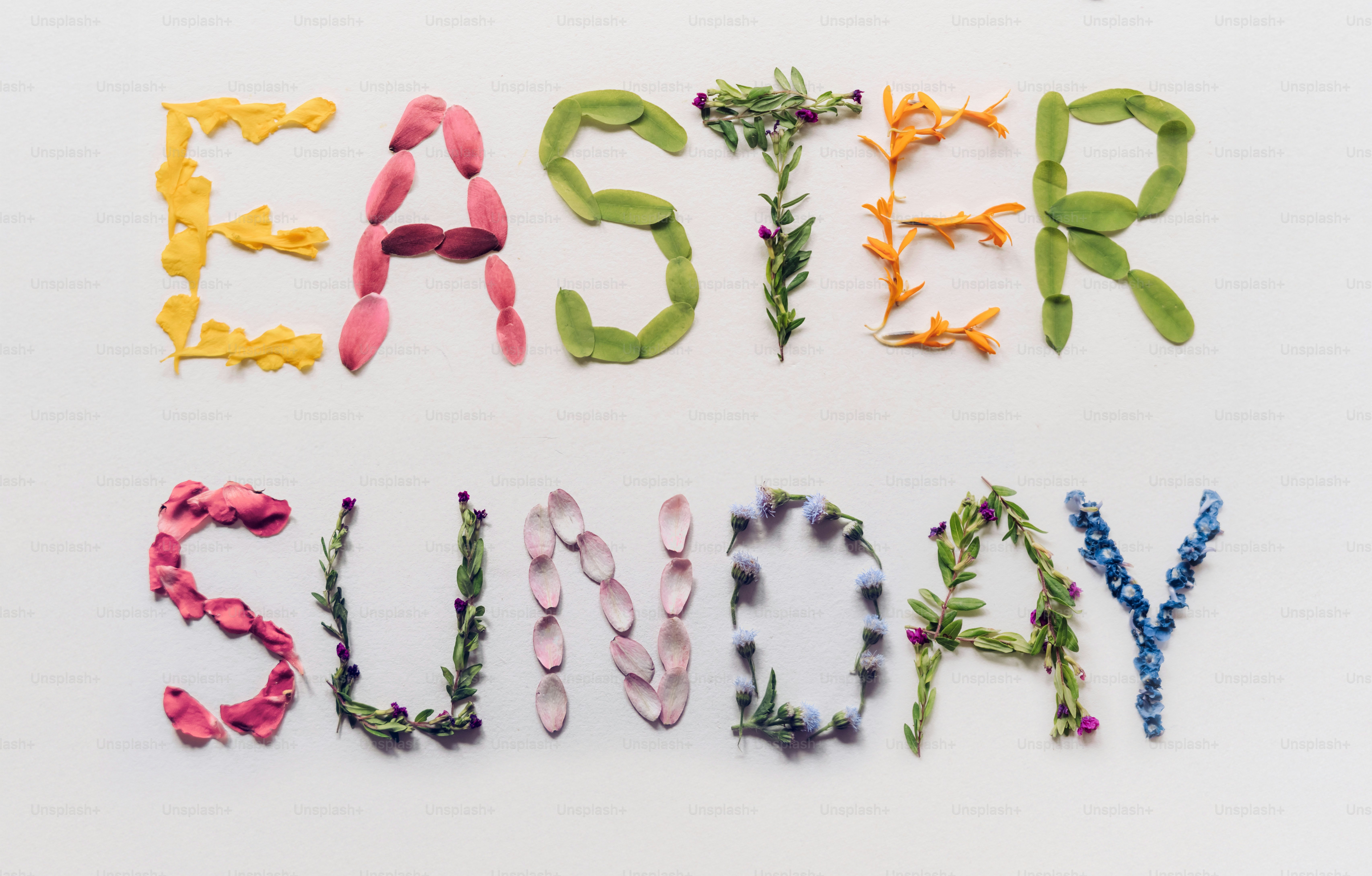 Texto do domingo de Páscoa feito de flores e folhas