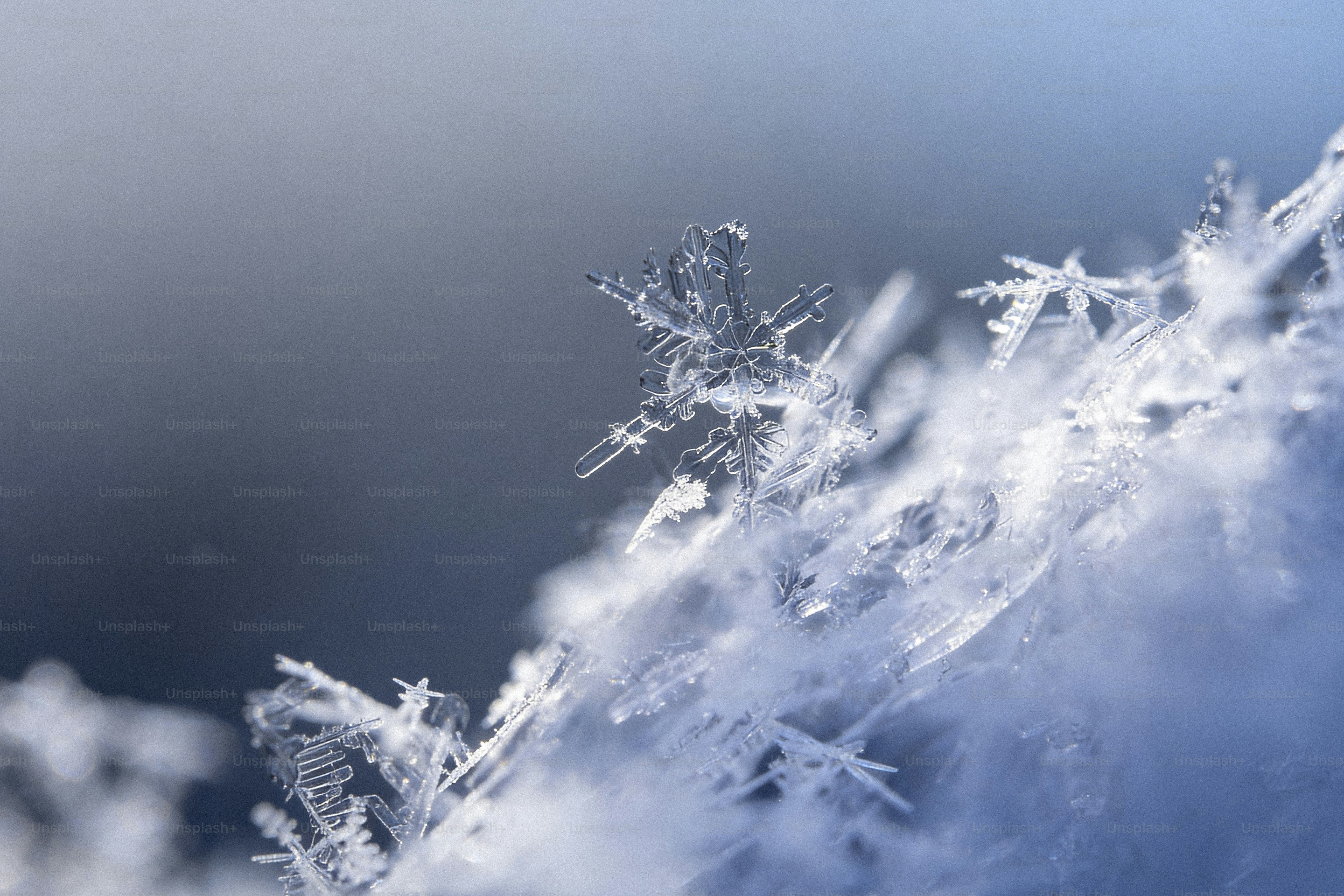 Gros plan de cristaux de glace délicats et de flocons de neige