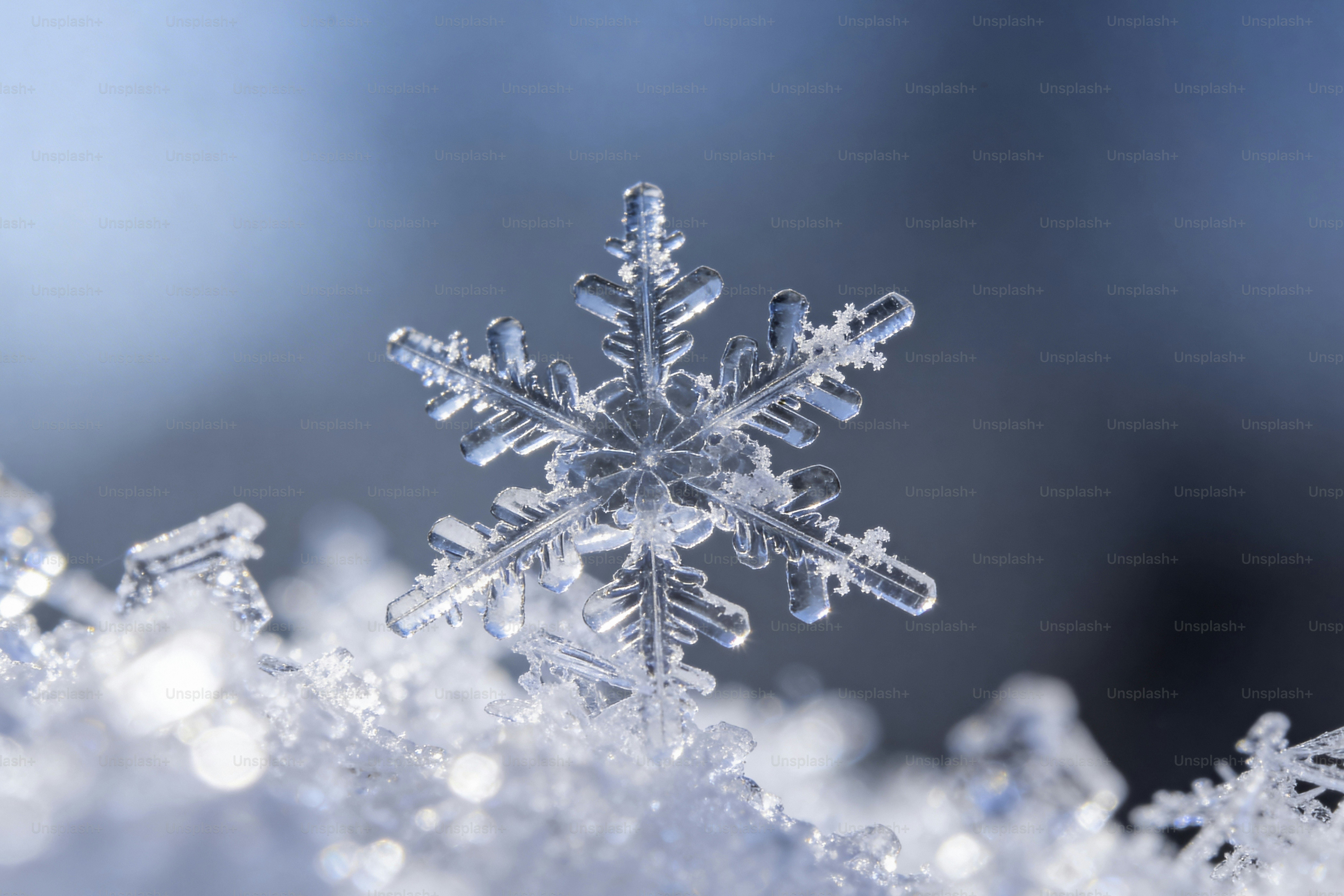 Un flocon de neige détaillé repose sur une neige douce.