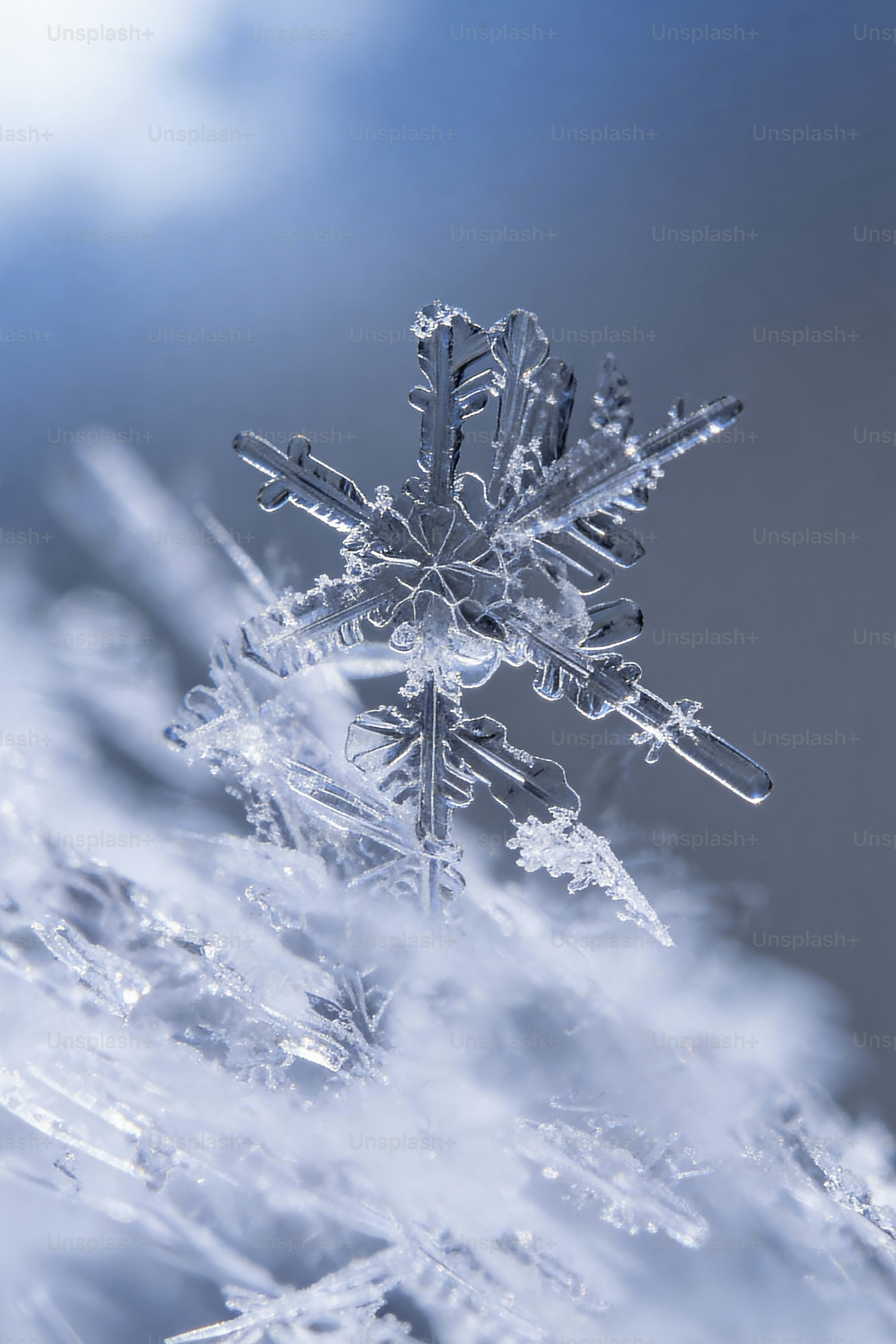 Un gros plan détaillé d’un délicat flocon de neige en cristal de glace.