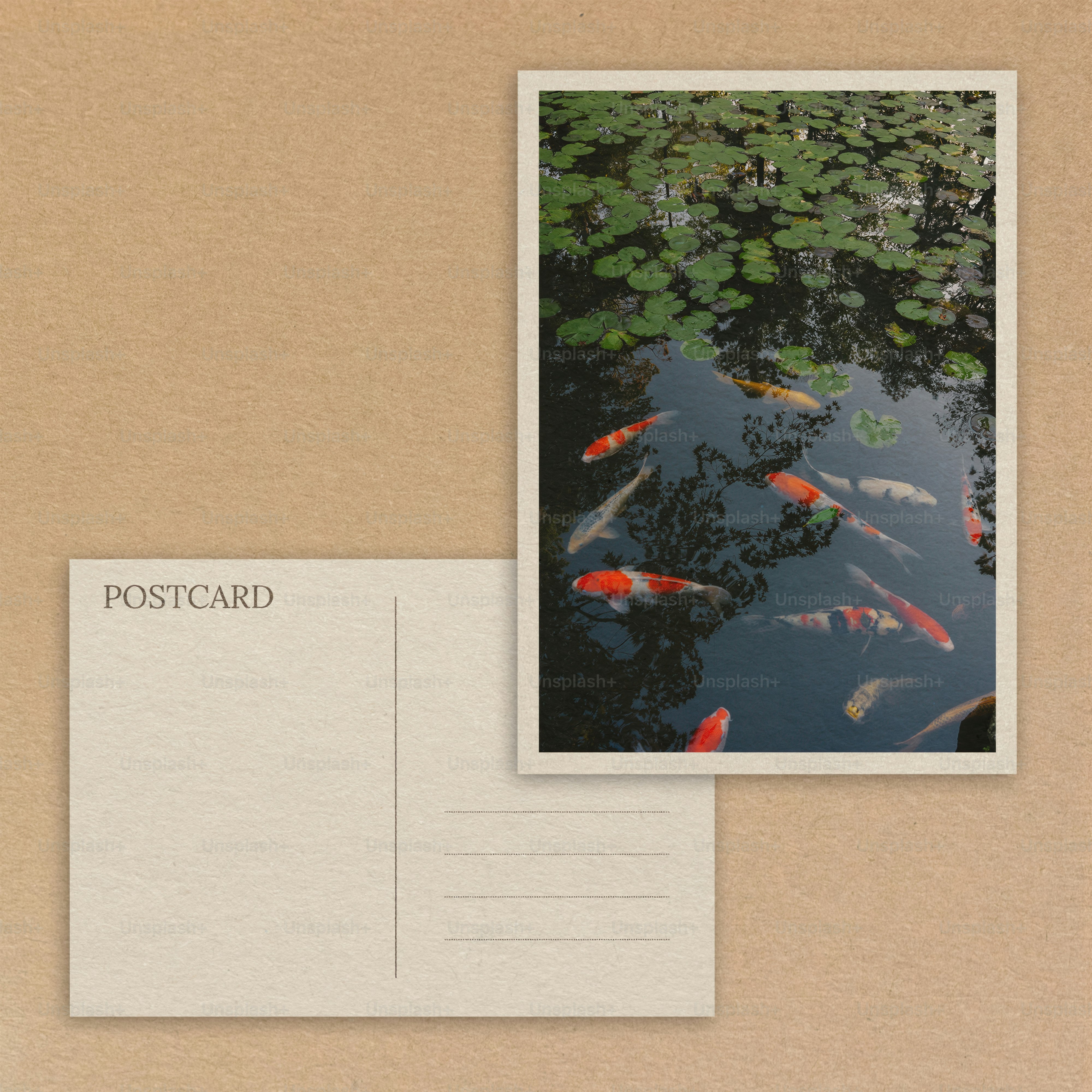 Koi fish swim in a dark pond with lily pads.