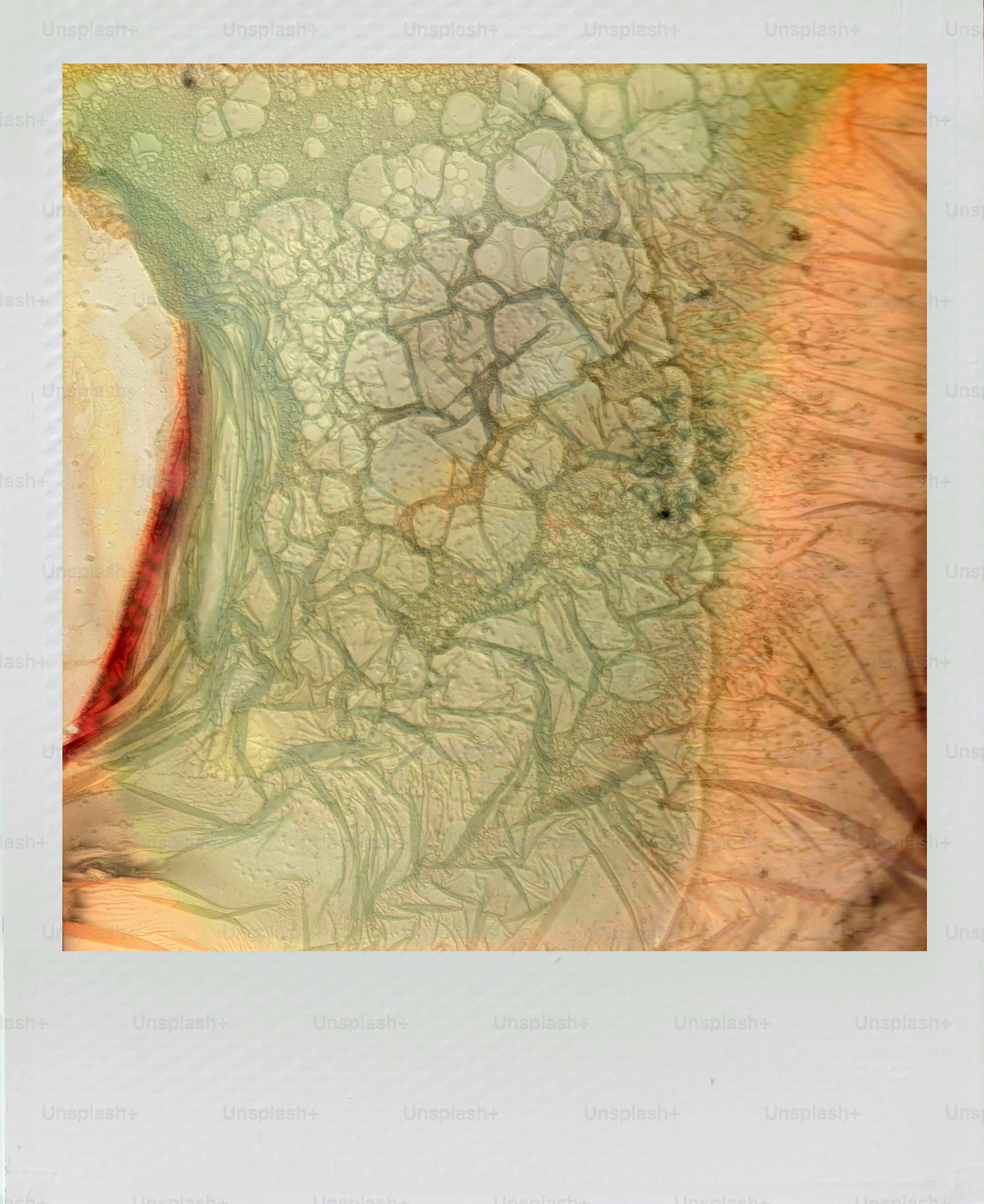 Abstract textured pattern with organic shapes and colors